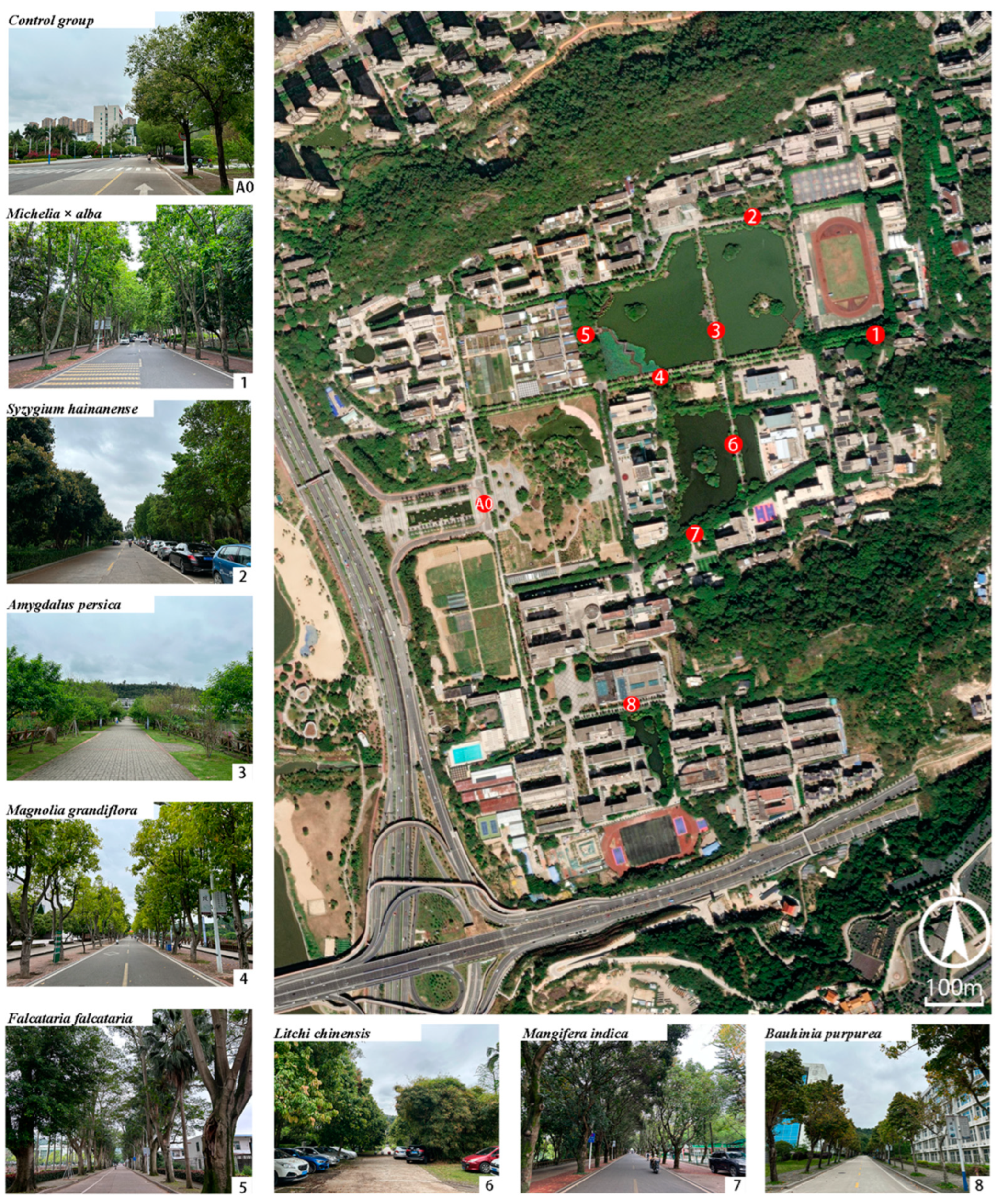 Sustainability 16 04407 g002 Sustainability 16 04407 g002