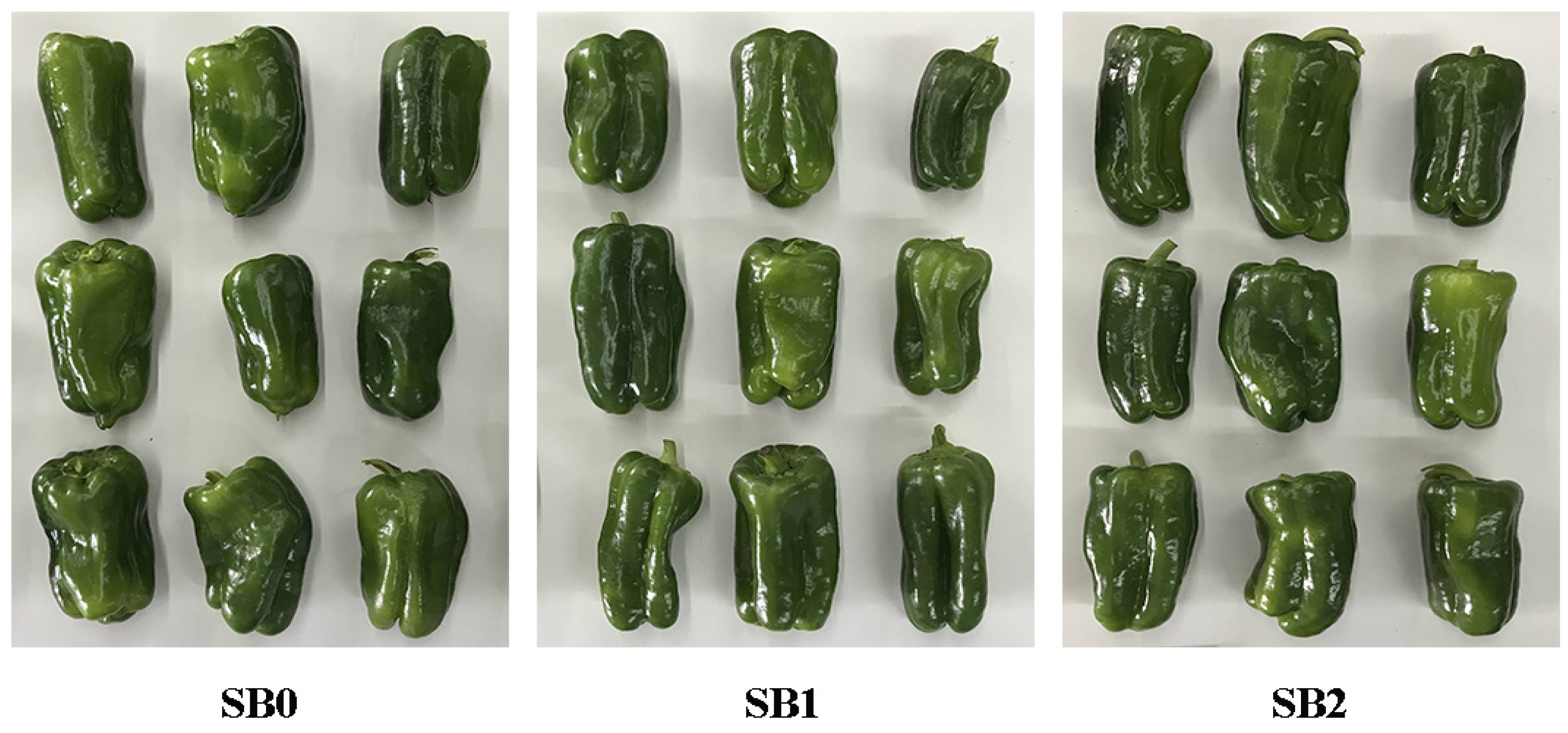 Sustainability 16 04429 g004