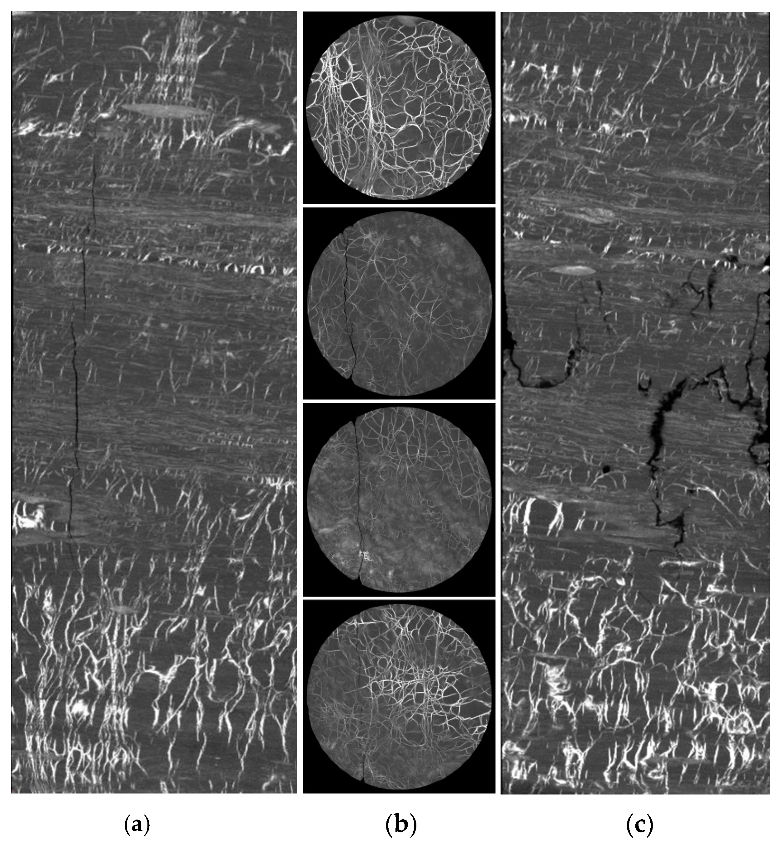 Sustainability 16 04434 g005