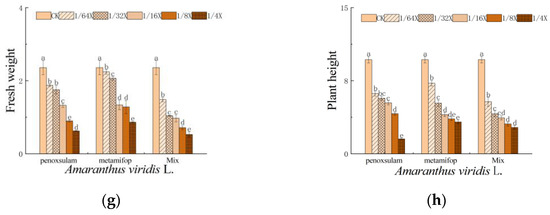 Sustainability 16 04444 g002b