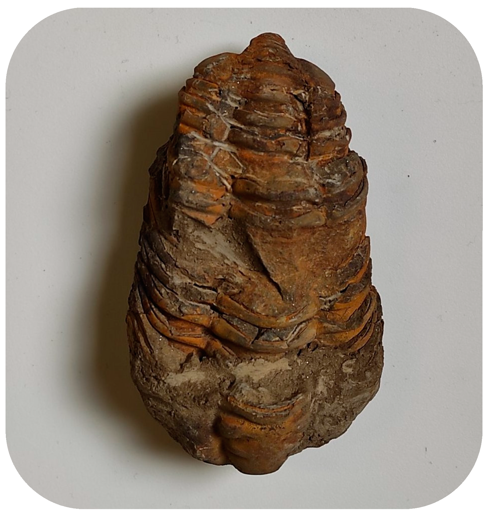 Sustainability 16 04481 g001