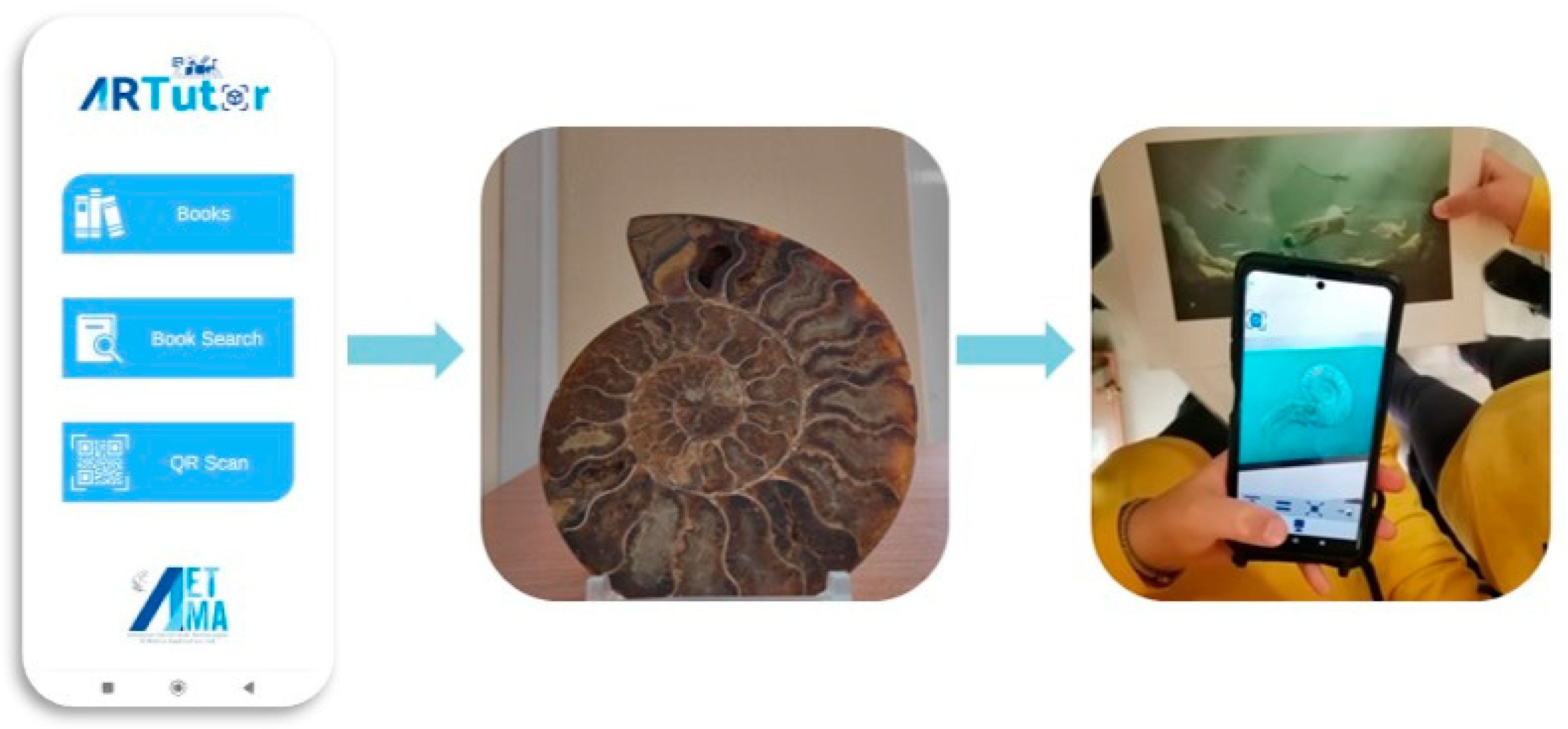 Sustainability 16 04481 g004