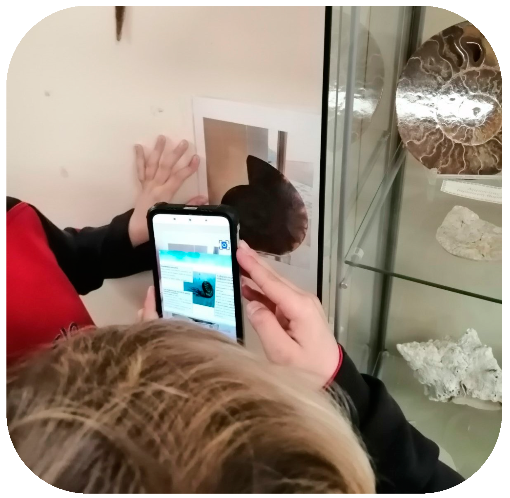 Sustainability 16 04481 g005