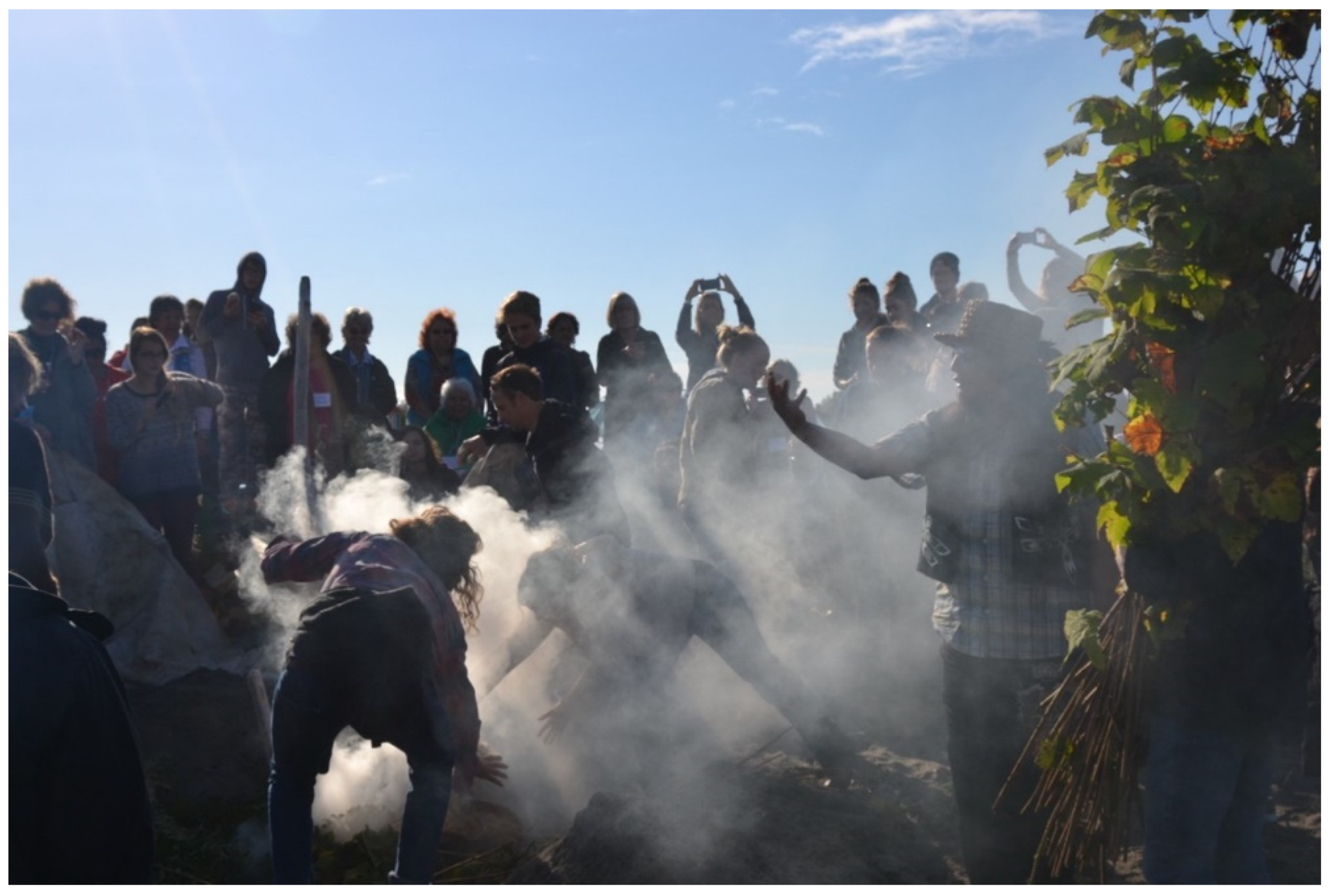 Sustainability 16 04494 g001