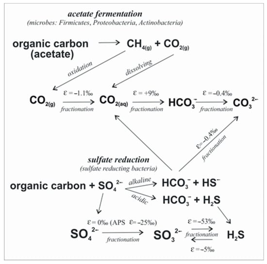 Sustainability 16 04507 g002