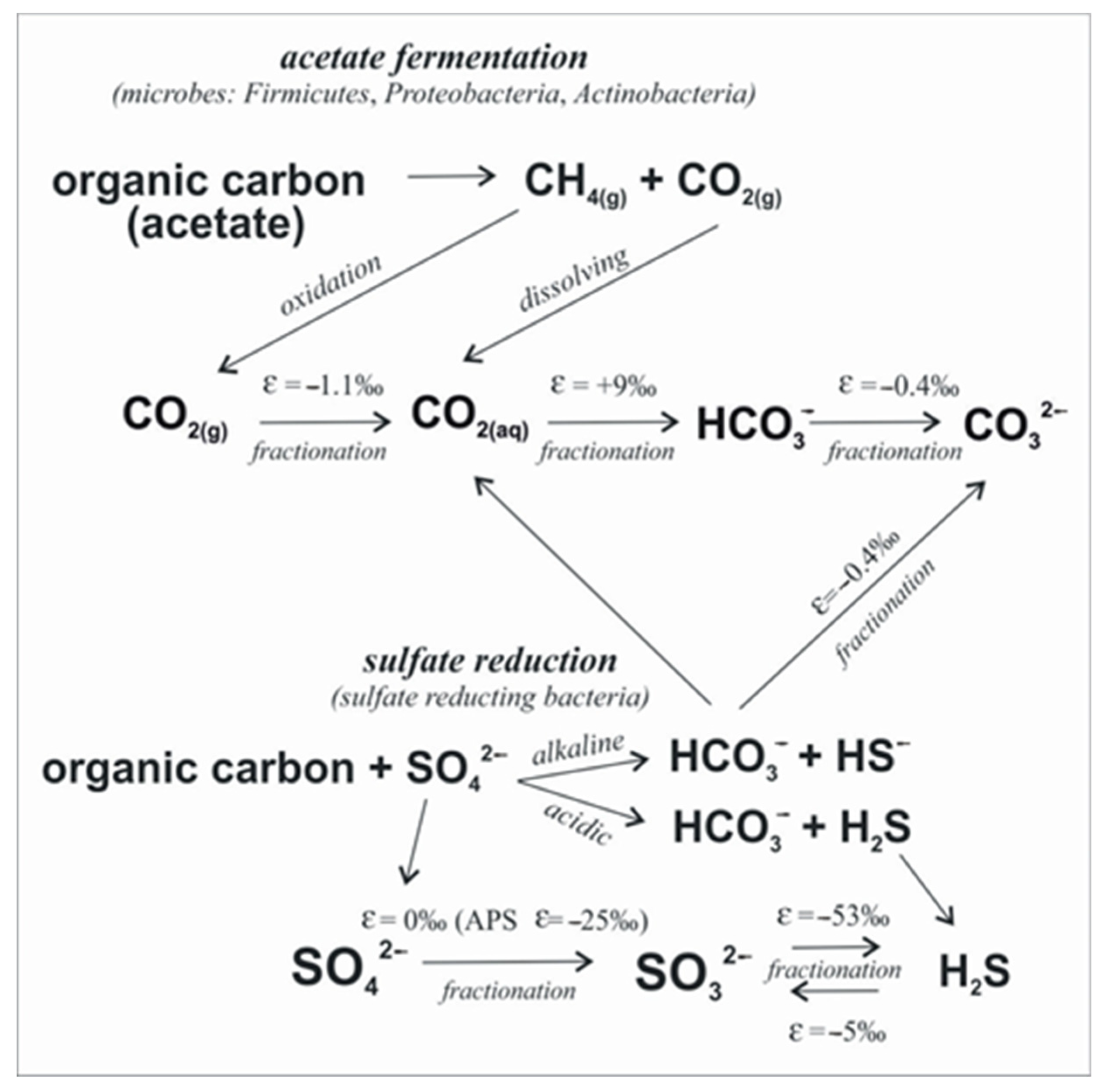 Sustainability 16 04507 g002