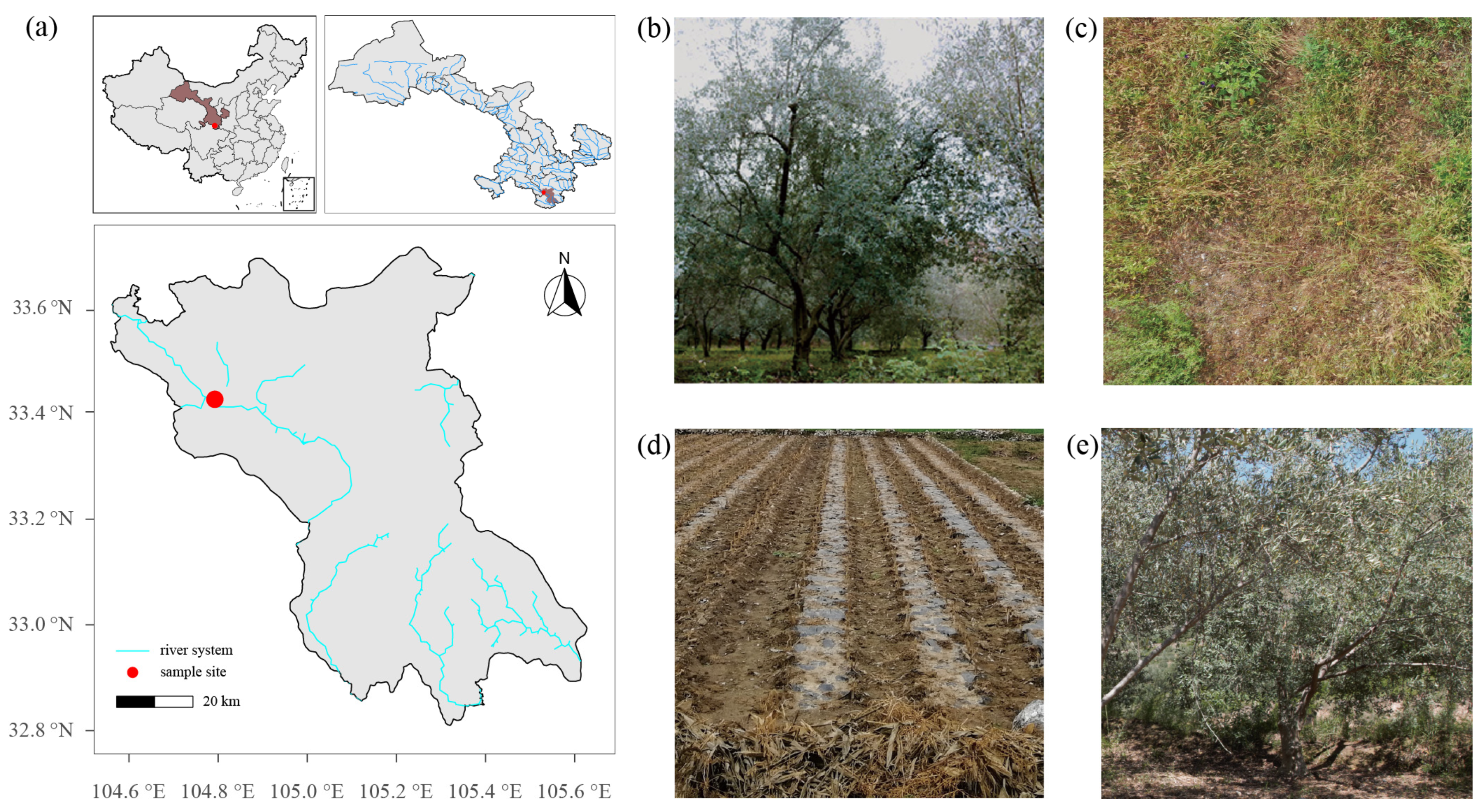 Sustainability 16 04538 g001