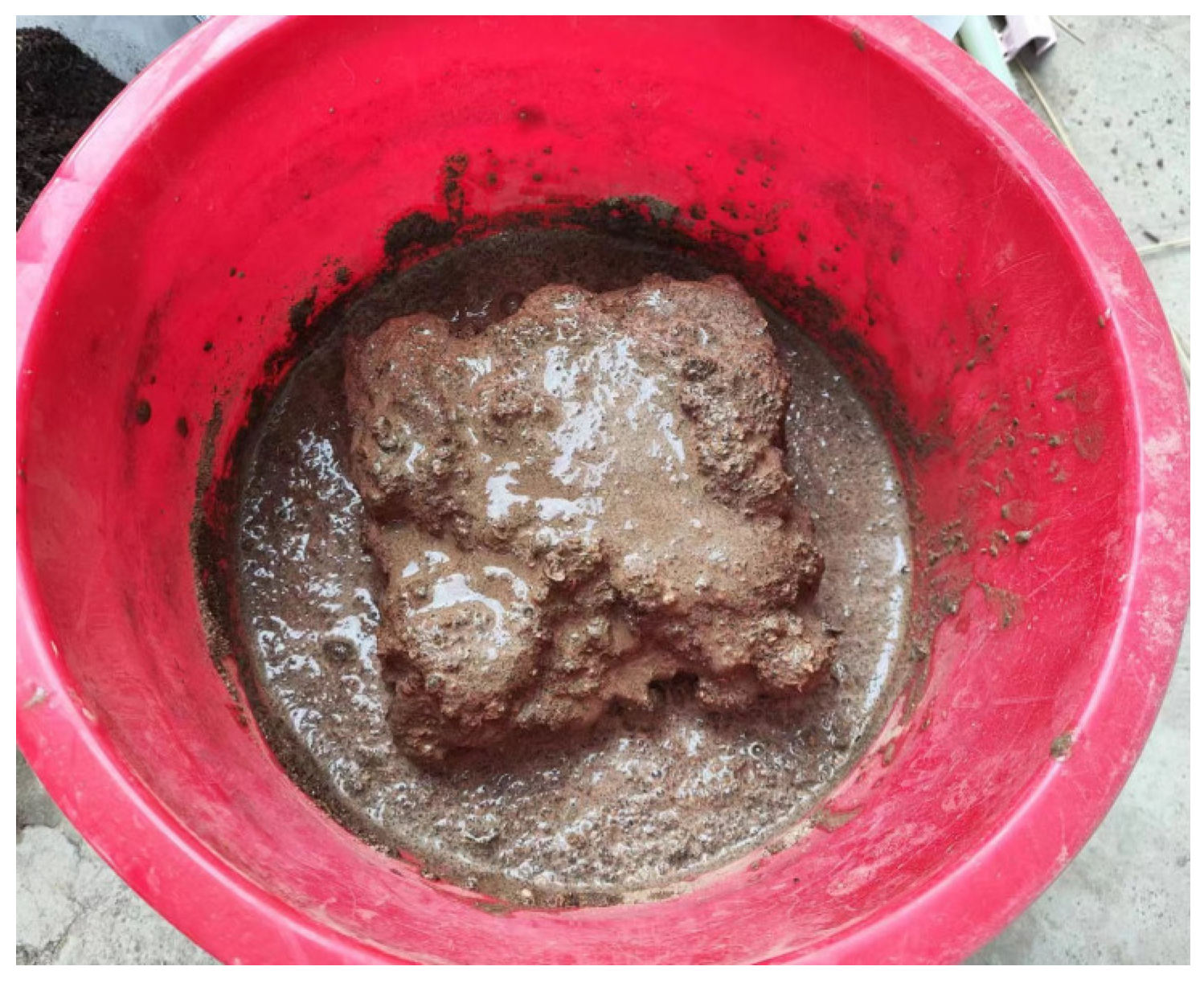 Sustainability 16 04575 g004