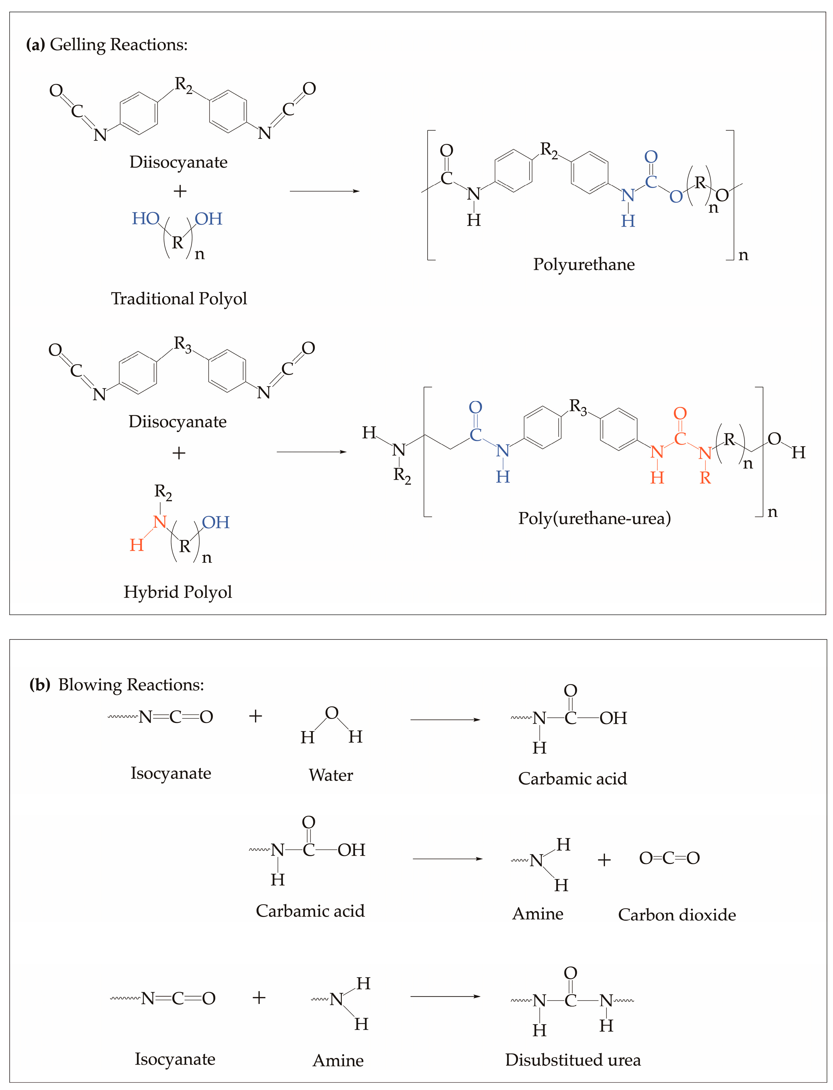 Sustainability 16 04587 g001