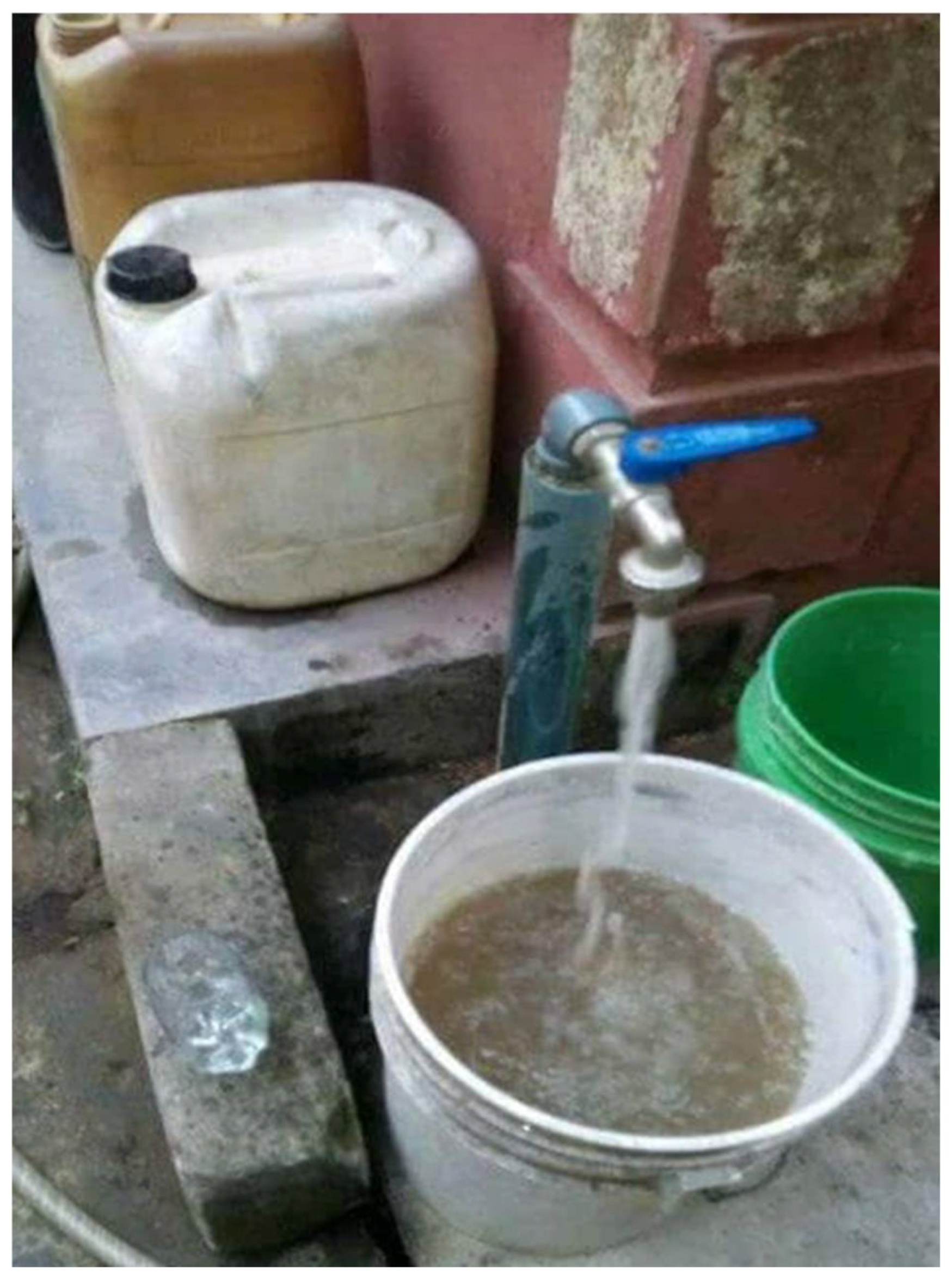 Sustainability 16 04603 g002