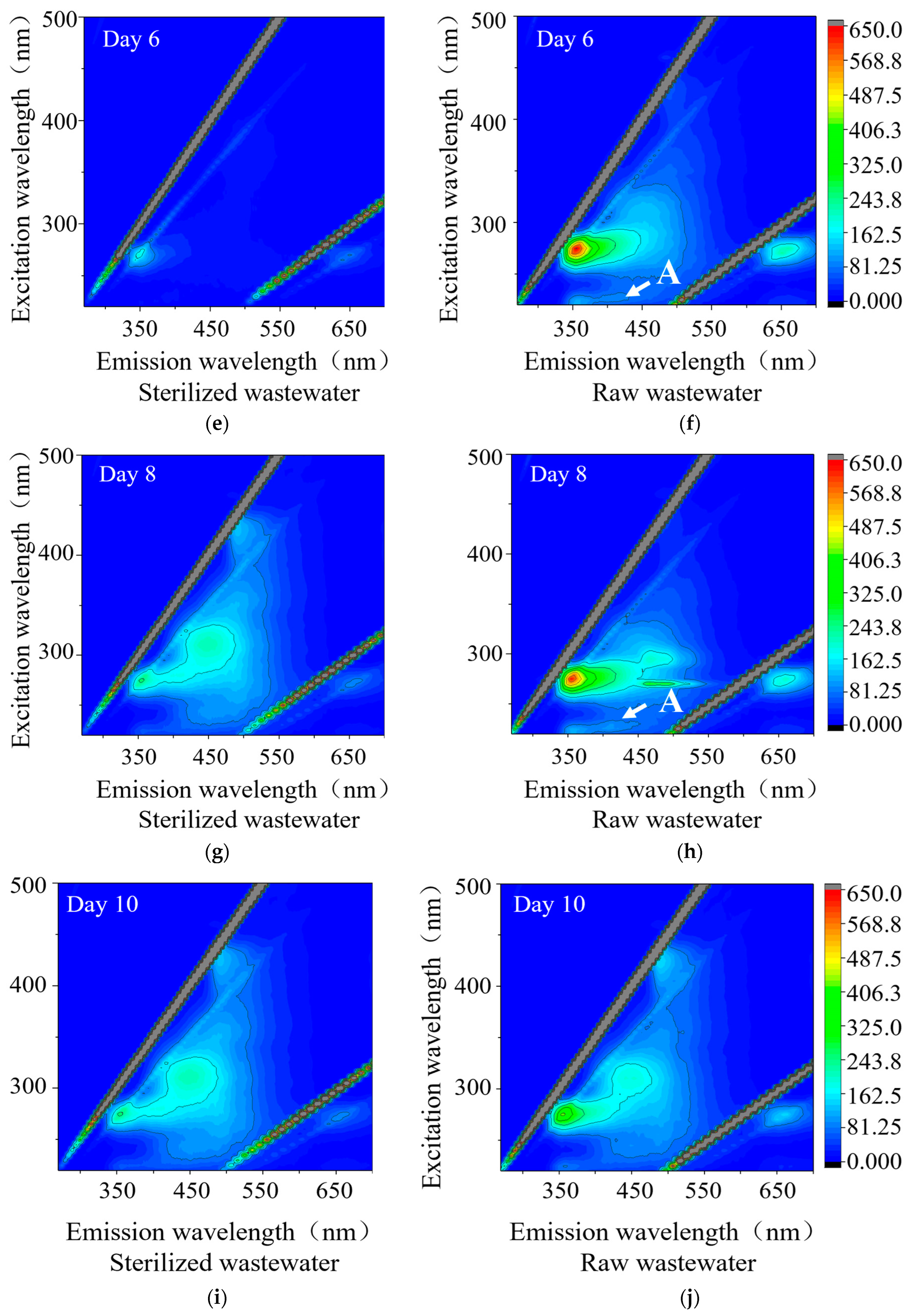 Sustainability 16 04633 g008b