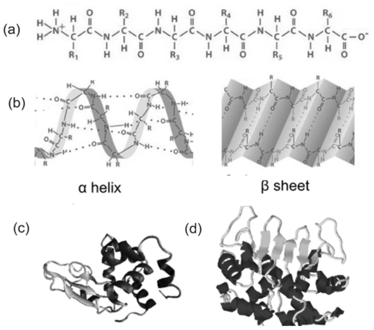 Sustainability 16 04661 g003