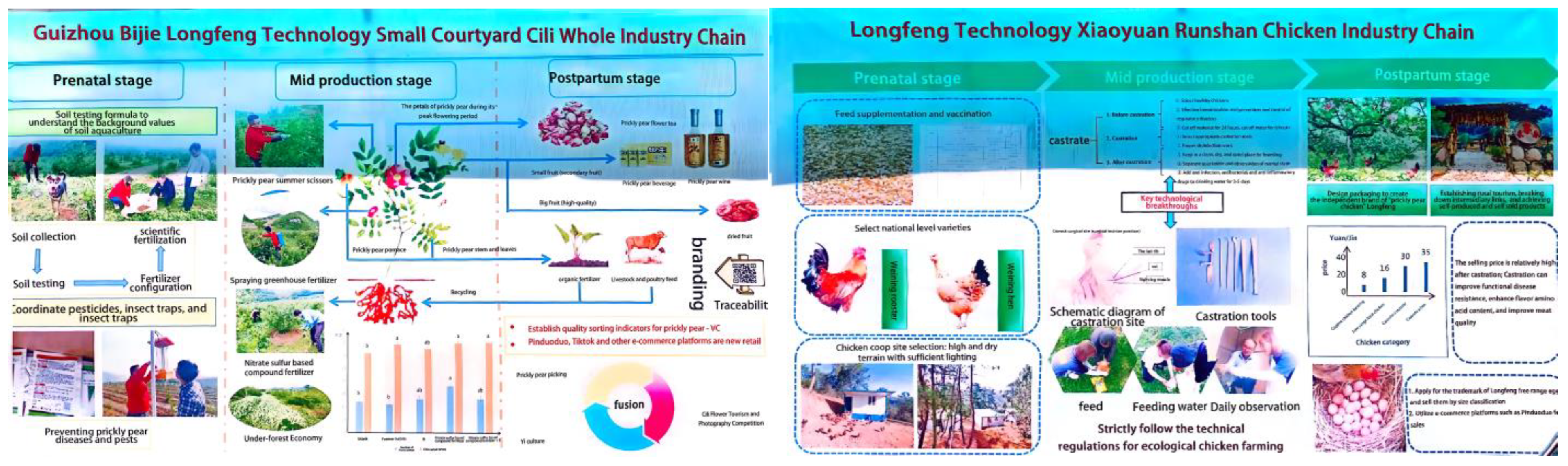 Sustainability 16 04671 g011