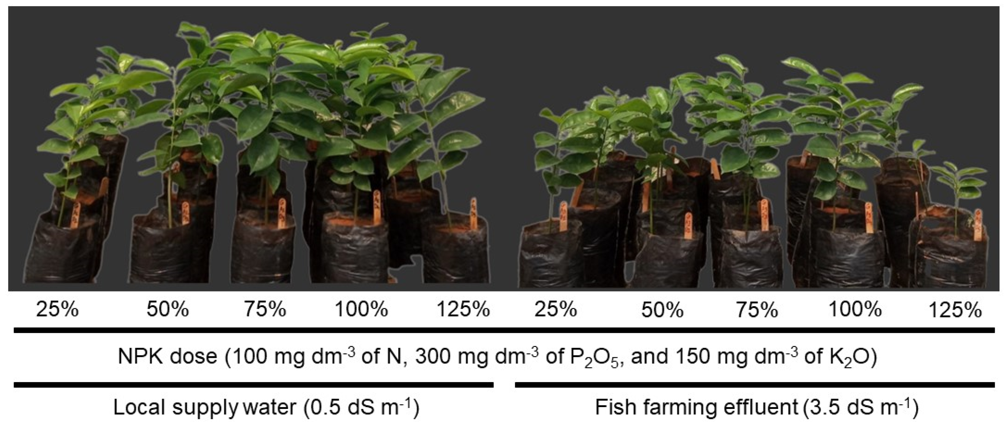 Sustainability 16 04674 g002