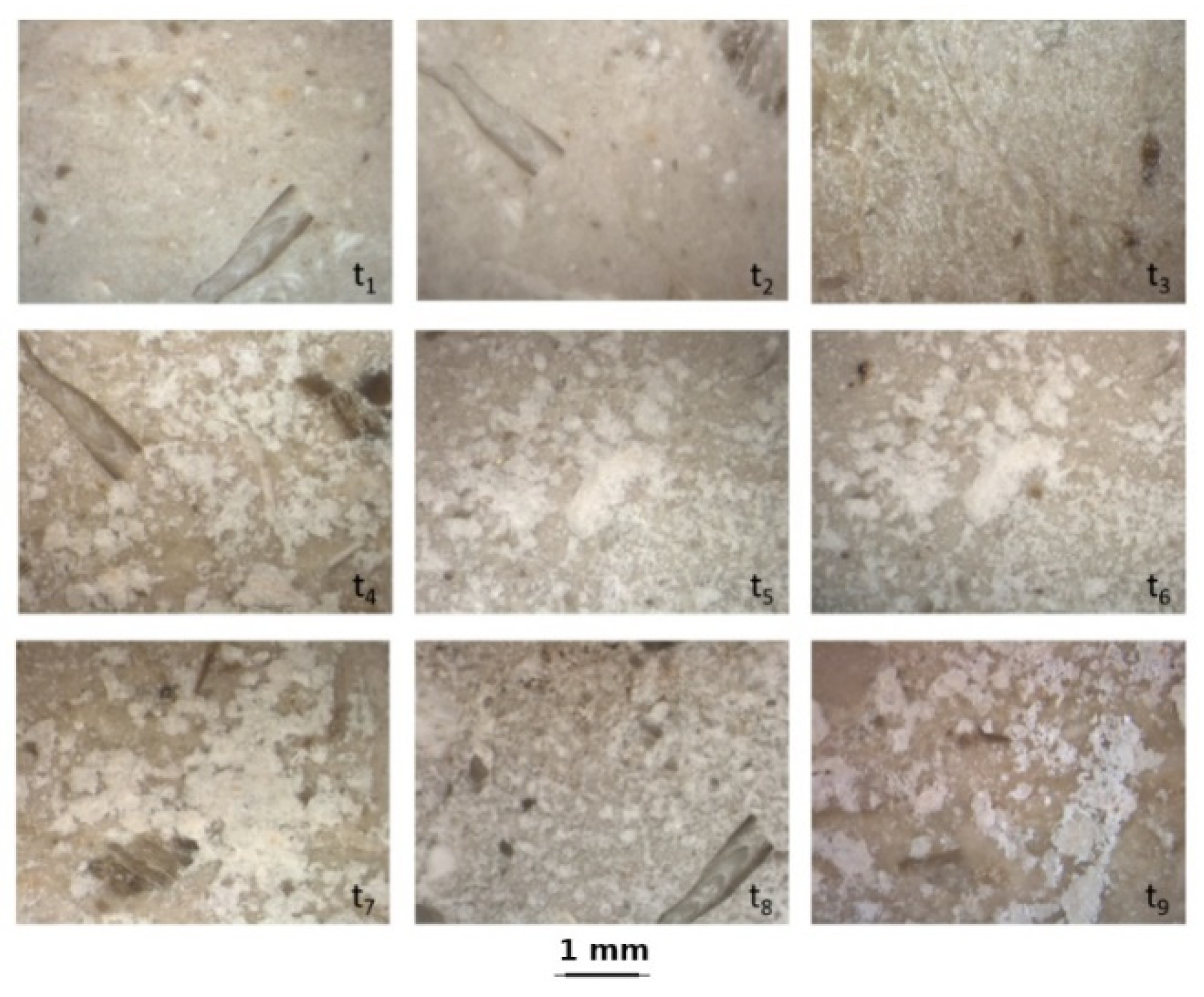 Sustainability 16 04701 g006