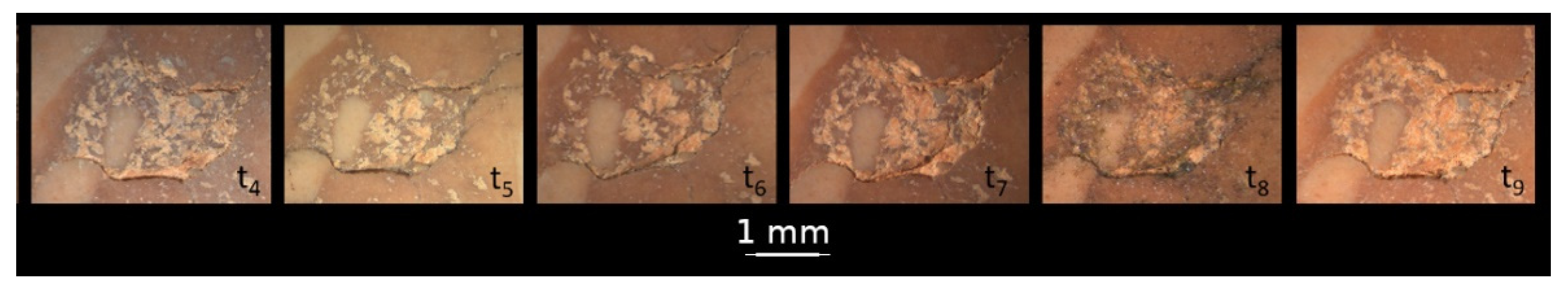 Sustainability 16 04701 g008