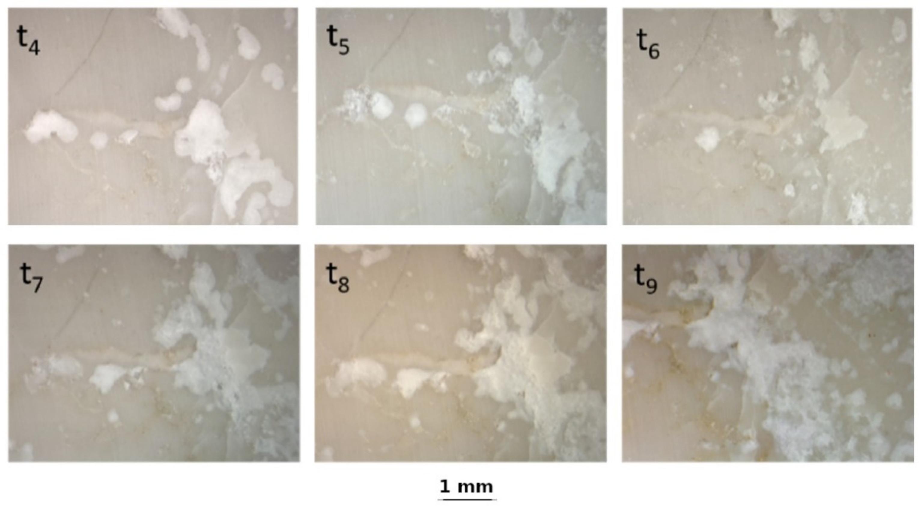 Sustainability 16 04701 g009