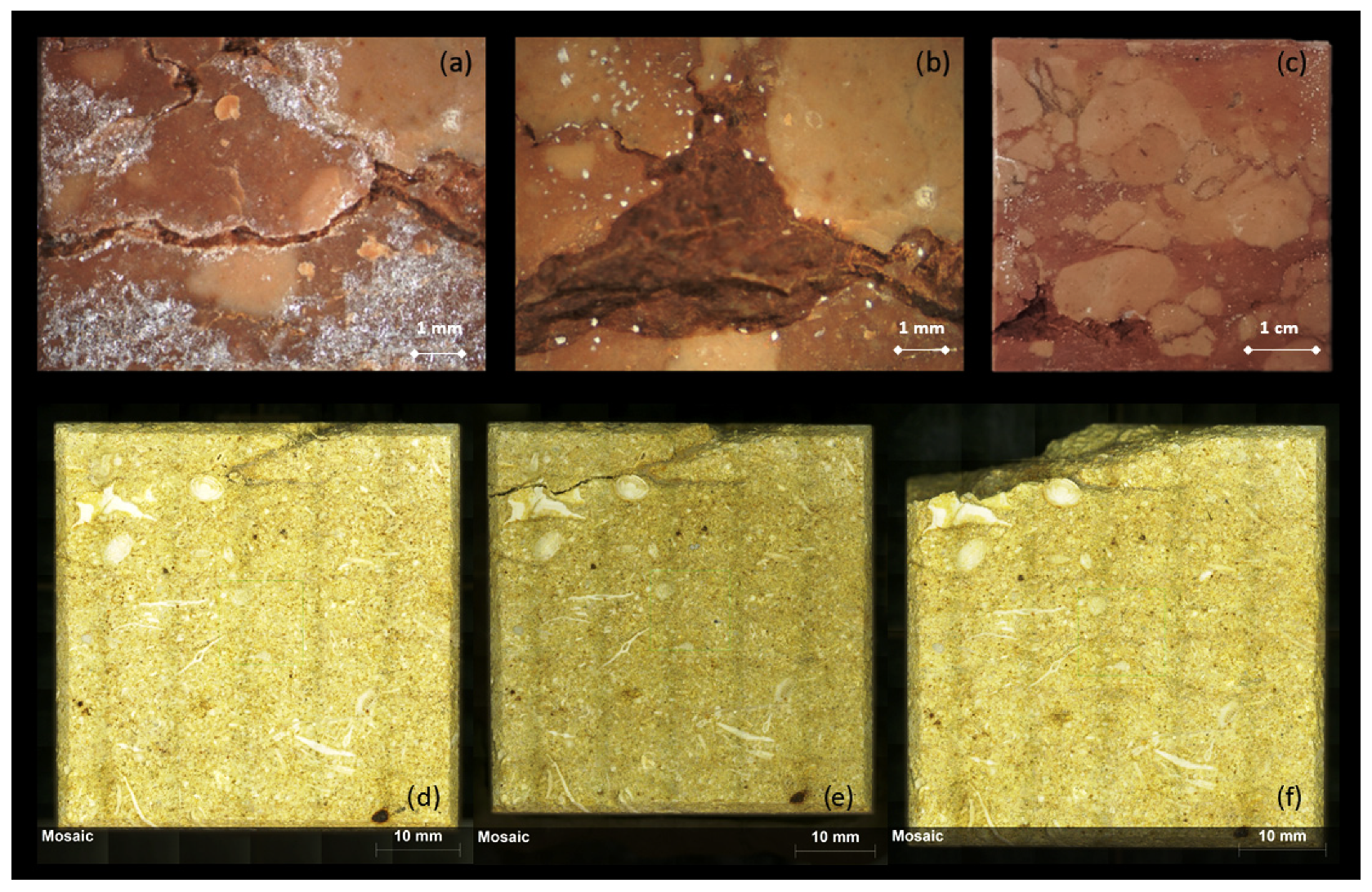 Sustainability 16 04701 g010