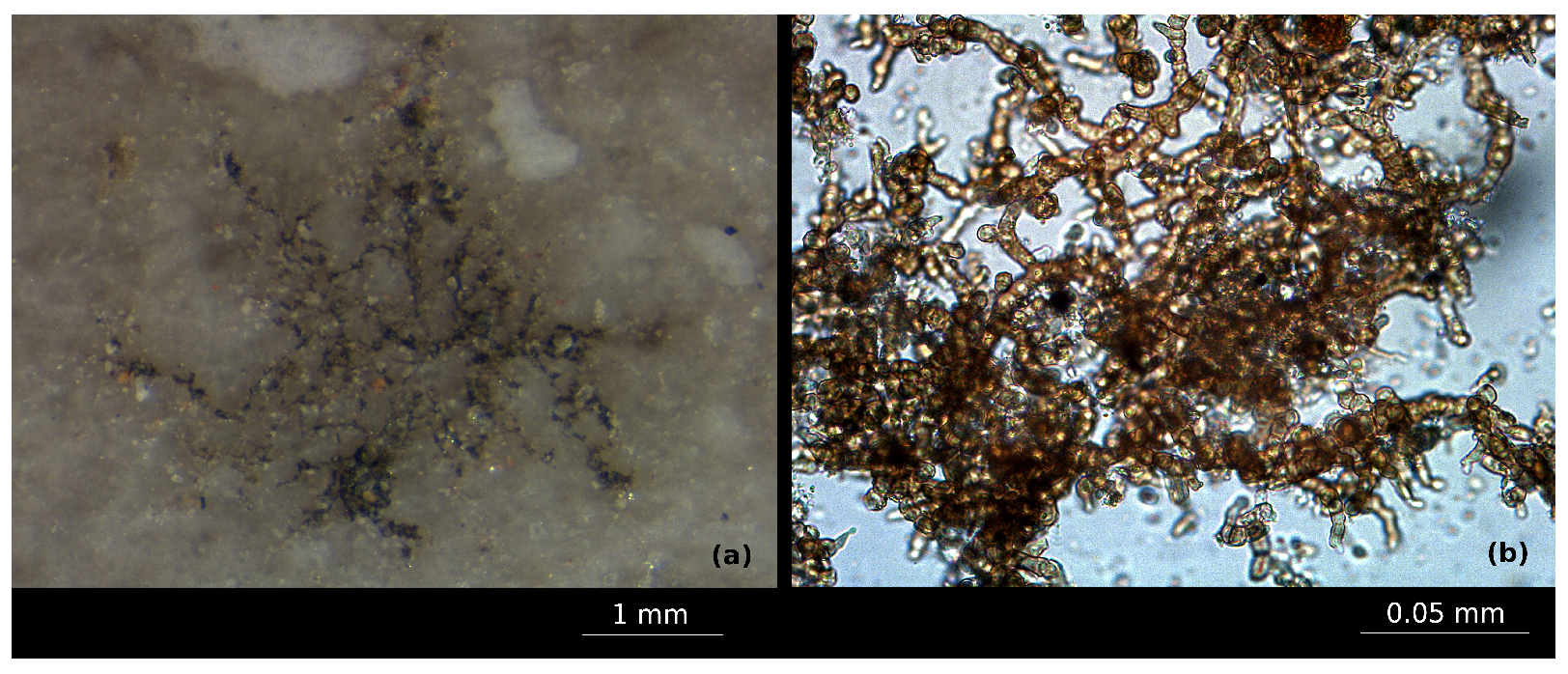 Sustainability 16 04701 g012