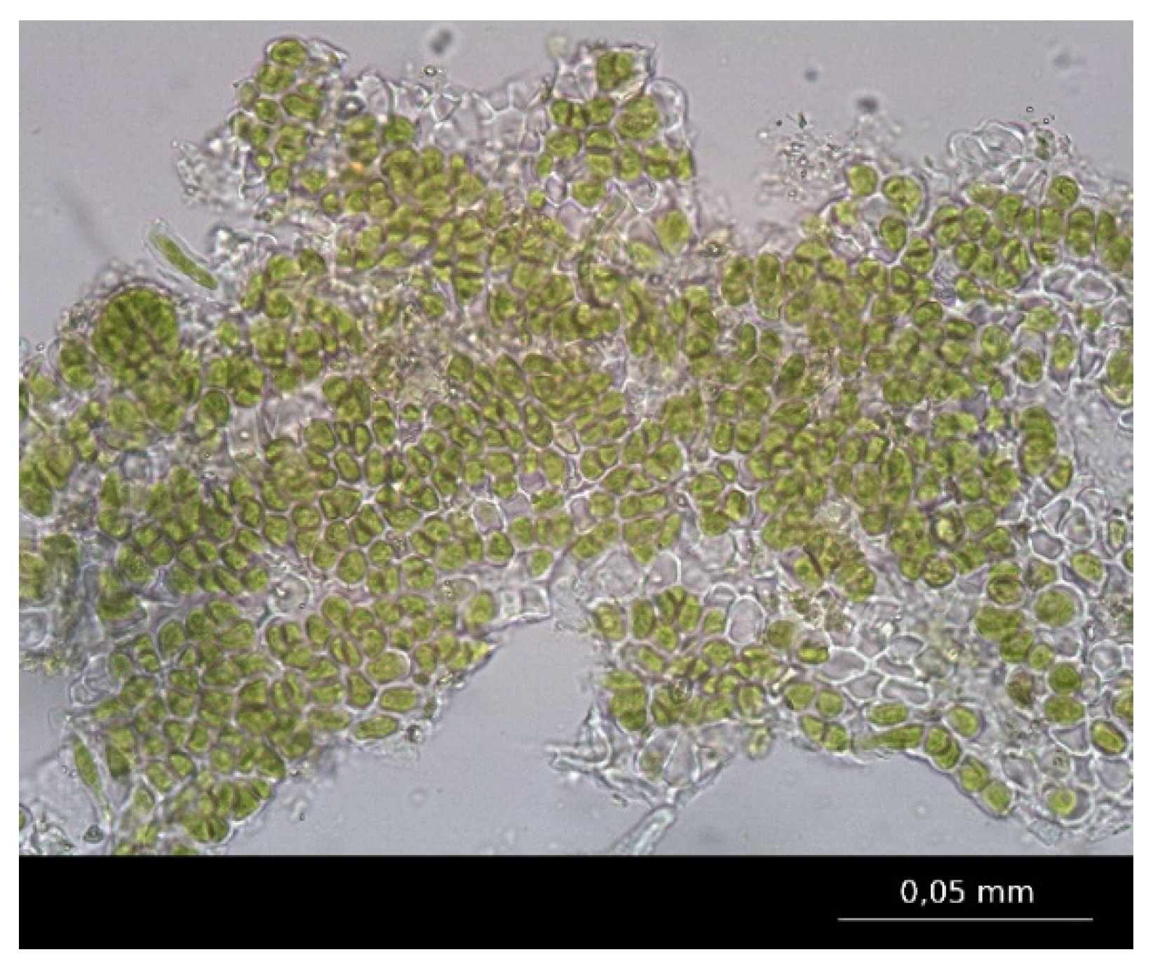 Sustainability 16 04701 g013