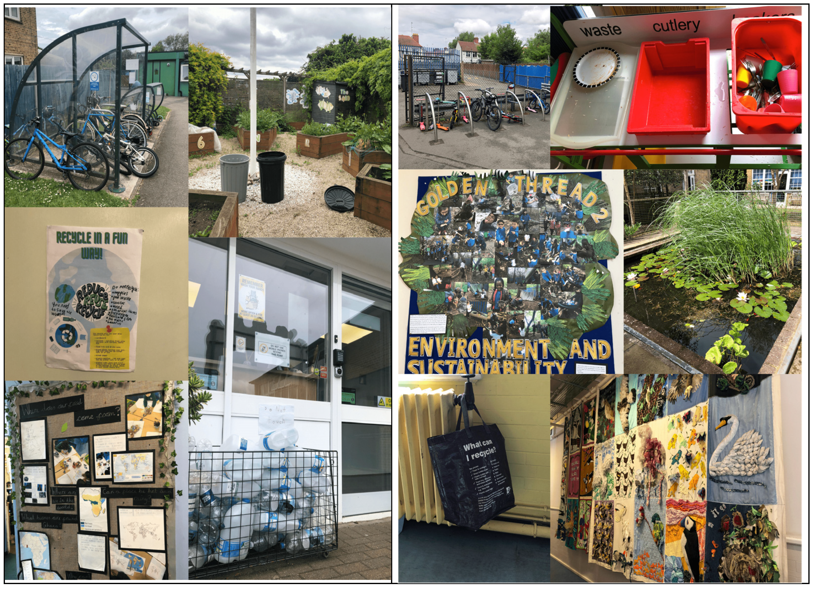 Sustainability 16 04742 g001