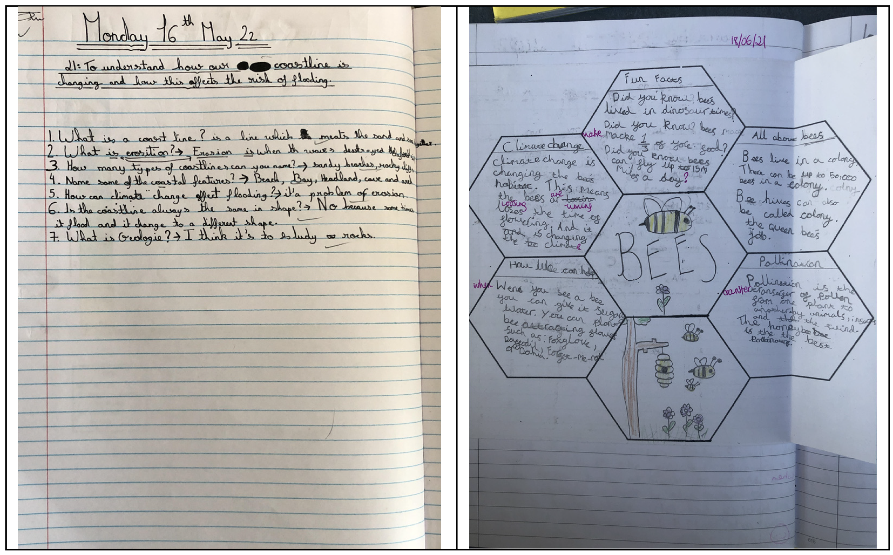 Sustainability 16 04742 g002