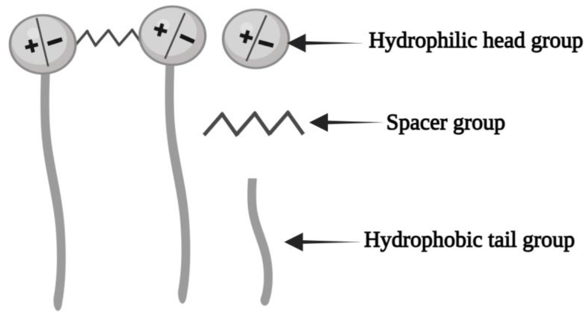 Sustainability 16 04804 g002