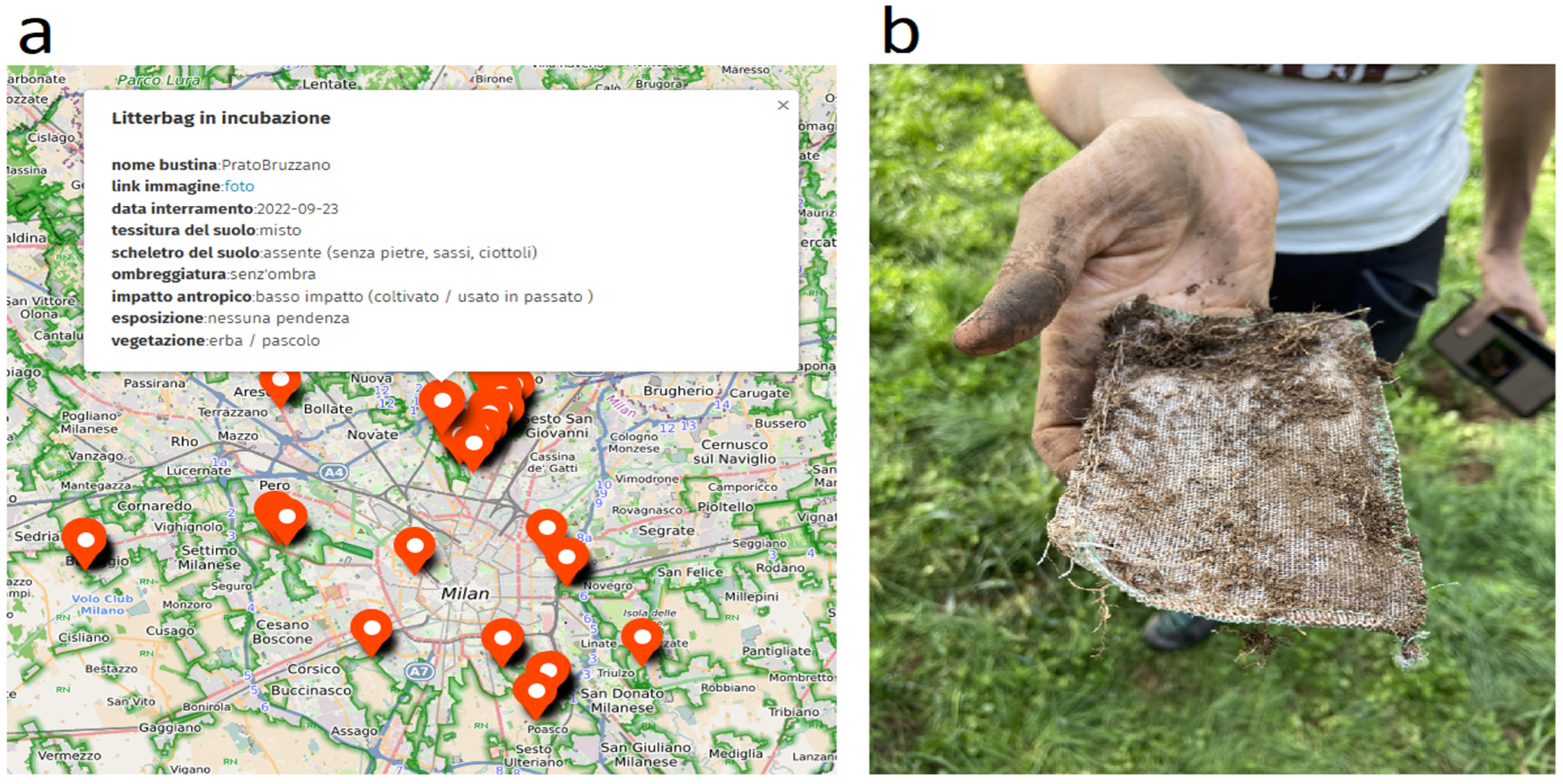 Sustainability 16 04882 g004