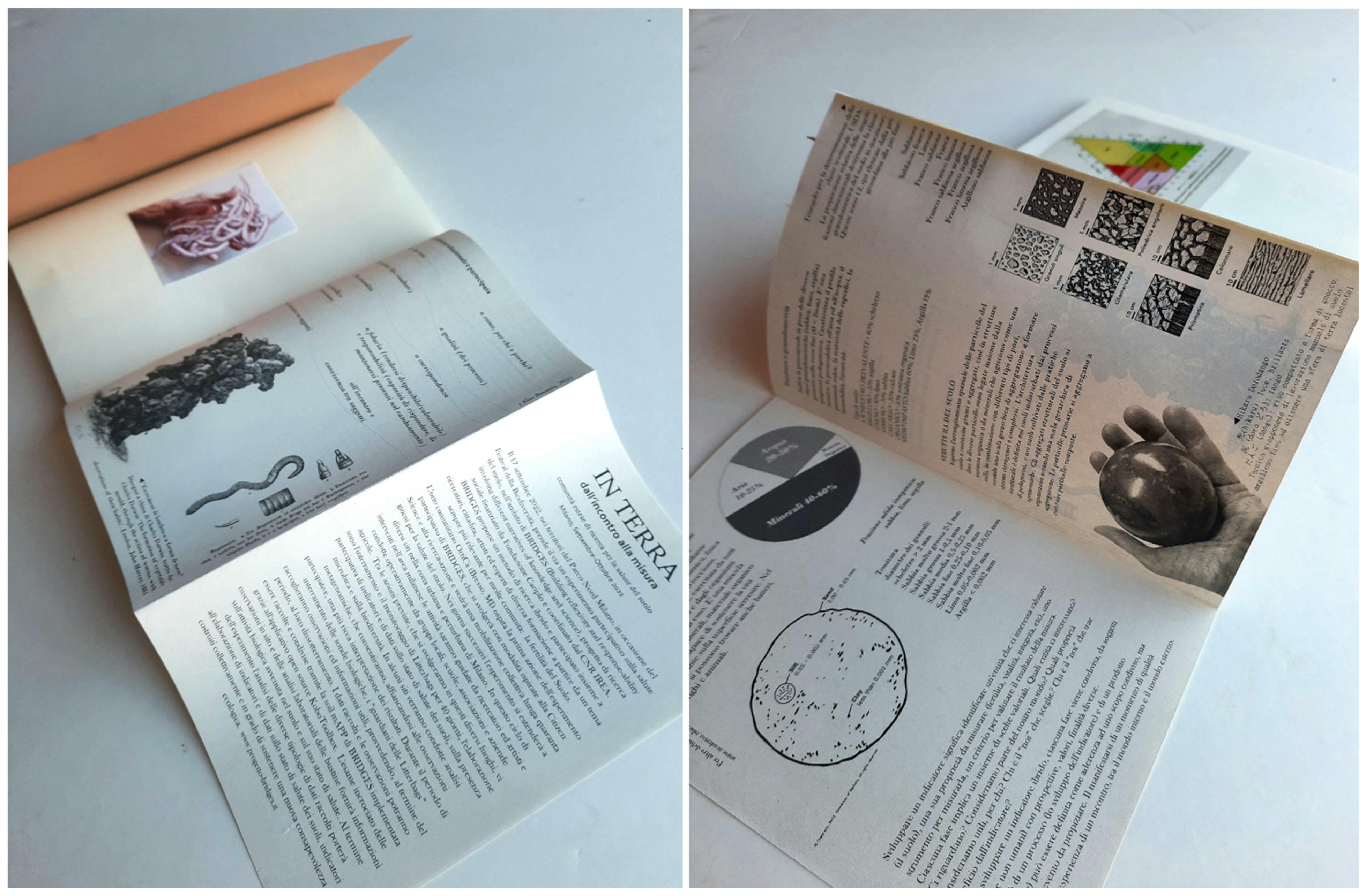 Sustainability 16 04882 g006