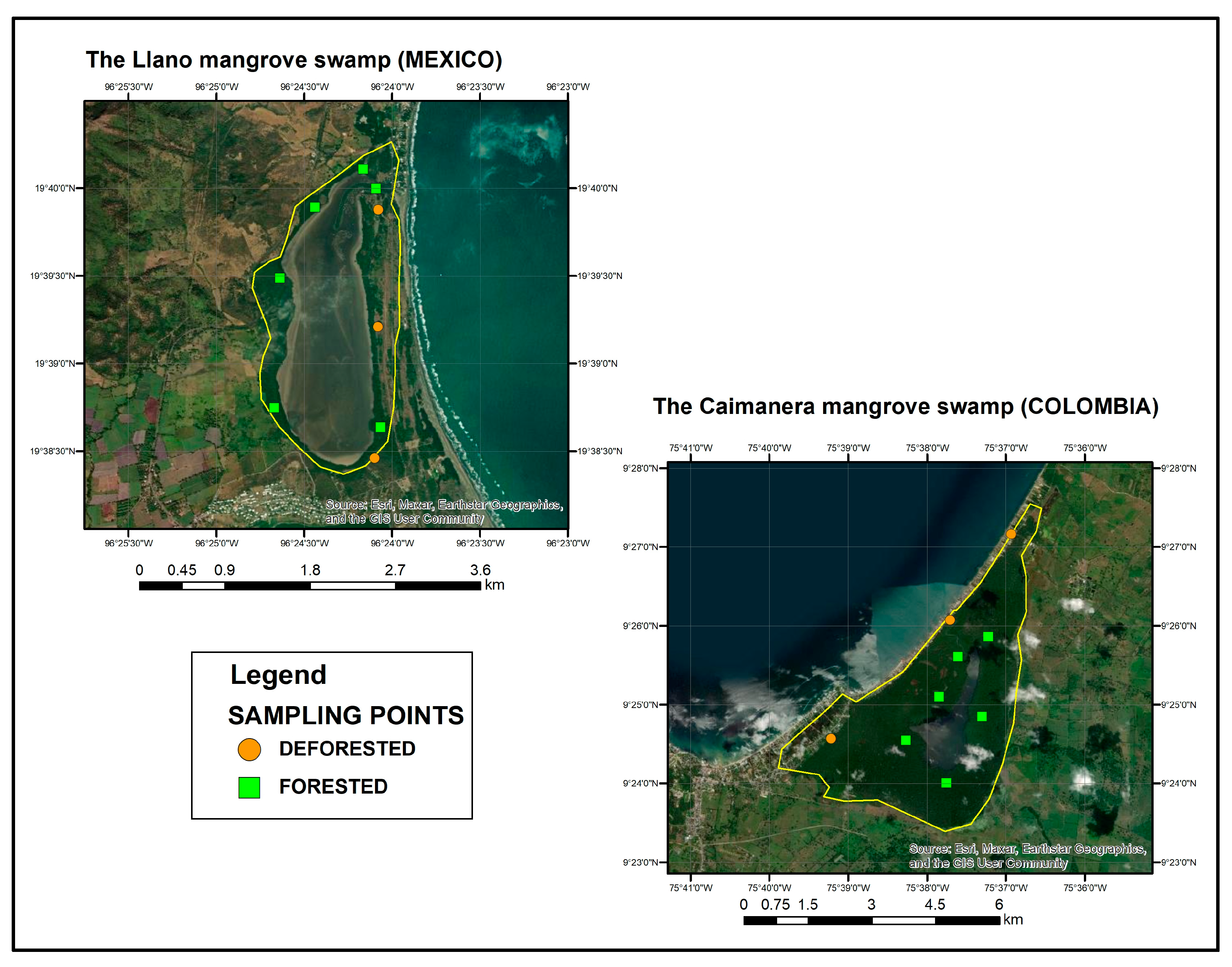 Sustainability 16 04966 g002