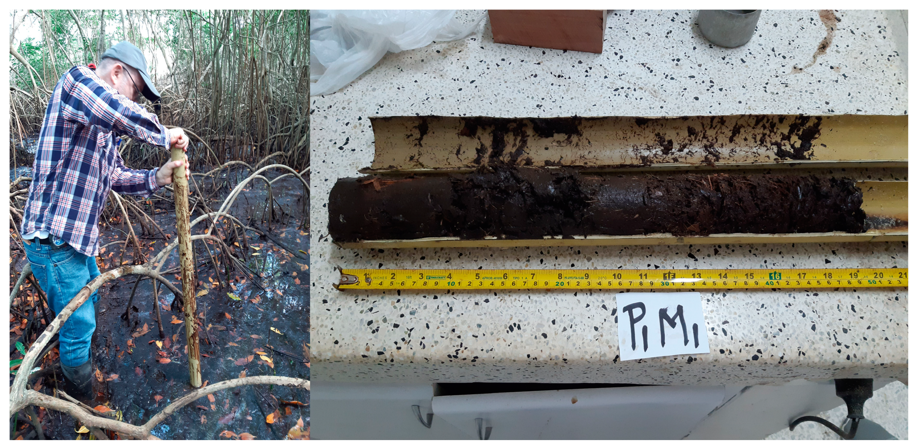 Sustainability 16 04966 g003