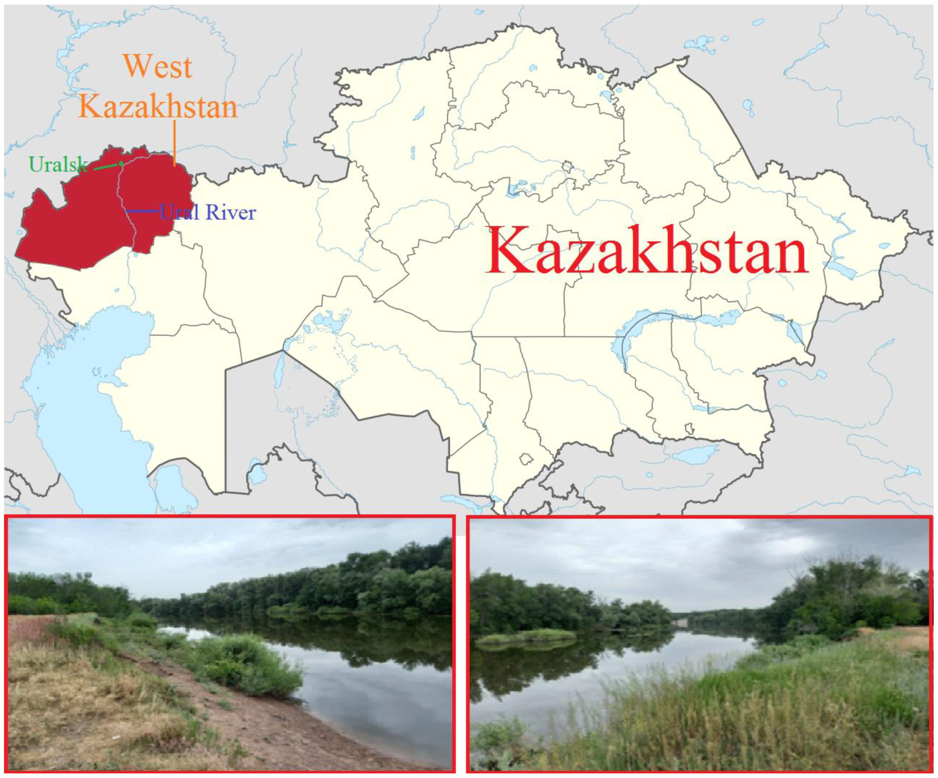 Sustainability 16 04989 g001