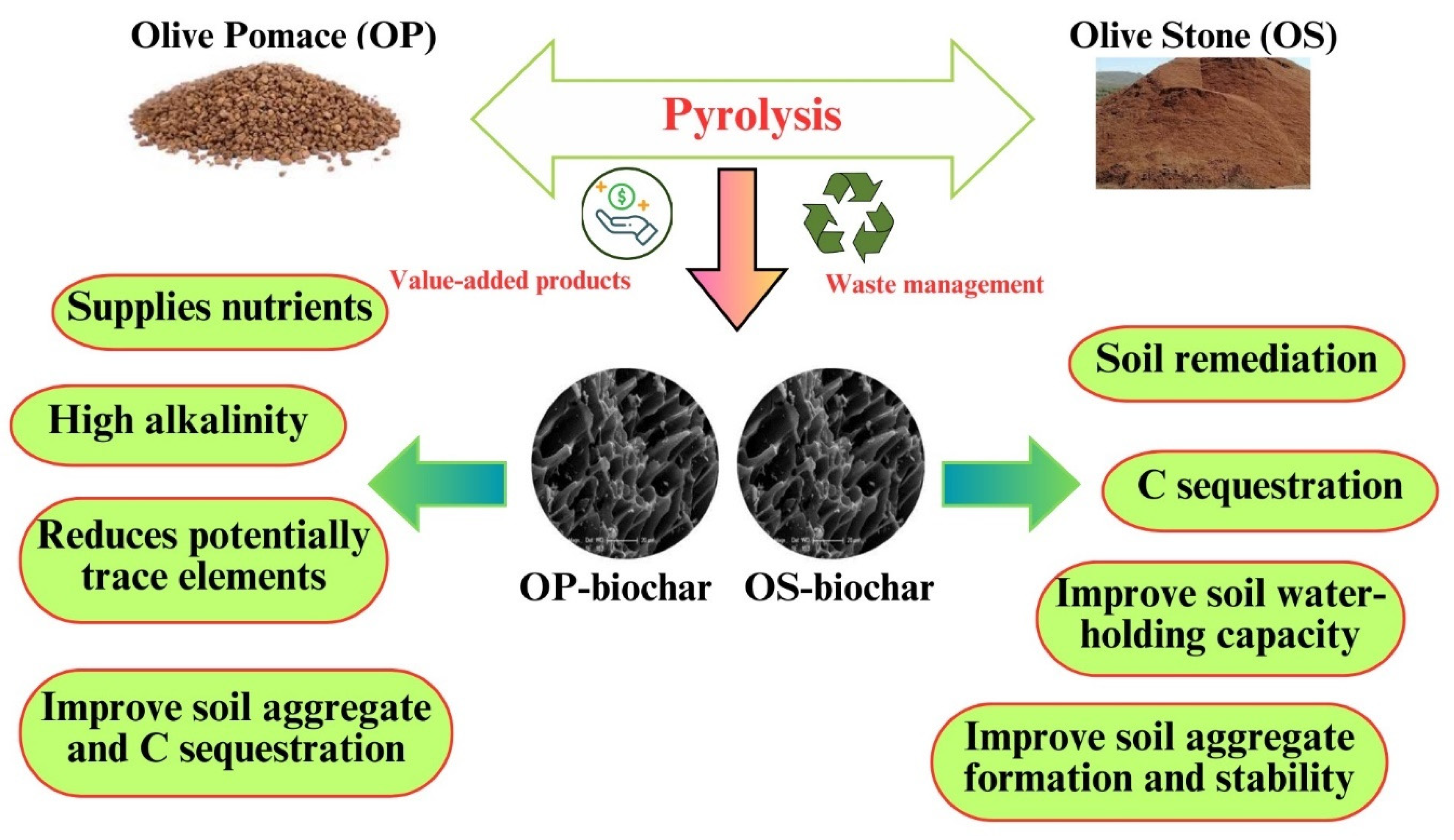 Sustainability 16 05004 g006