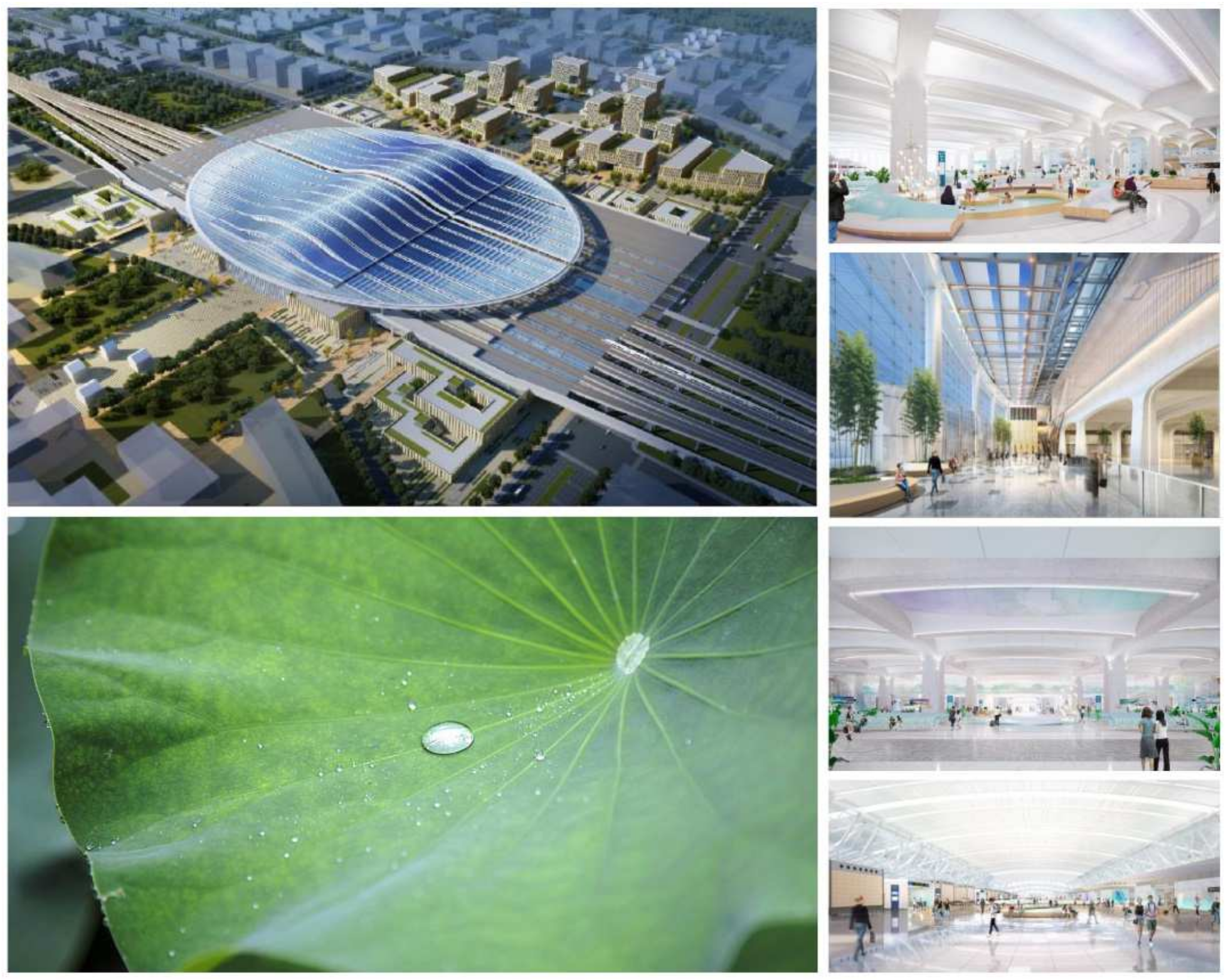 Sustainability 16 05021 g011 Sustainability 16 05021 g011