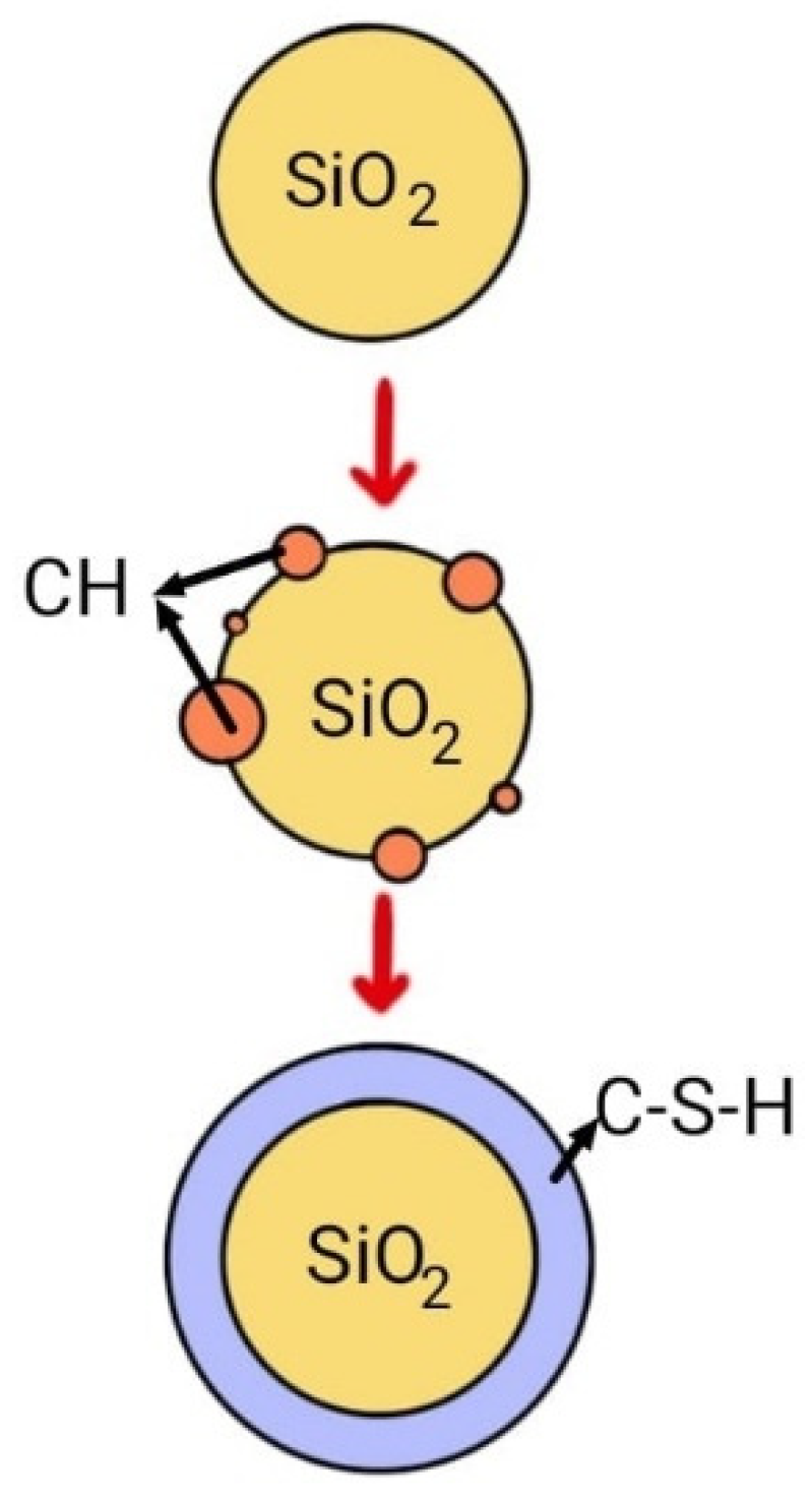 Sustainability 16 05077 g005