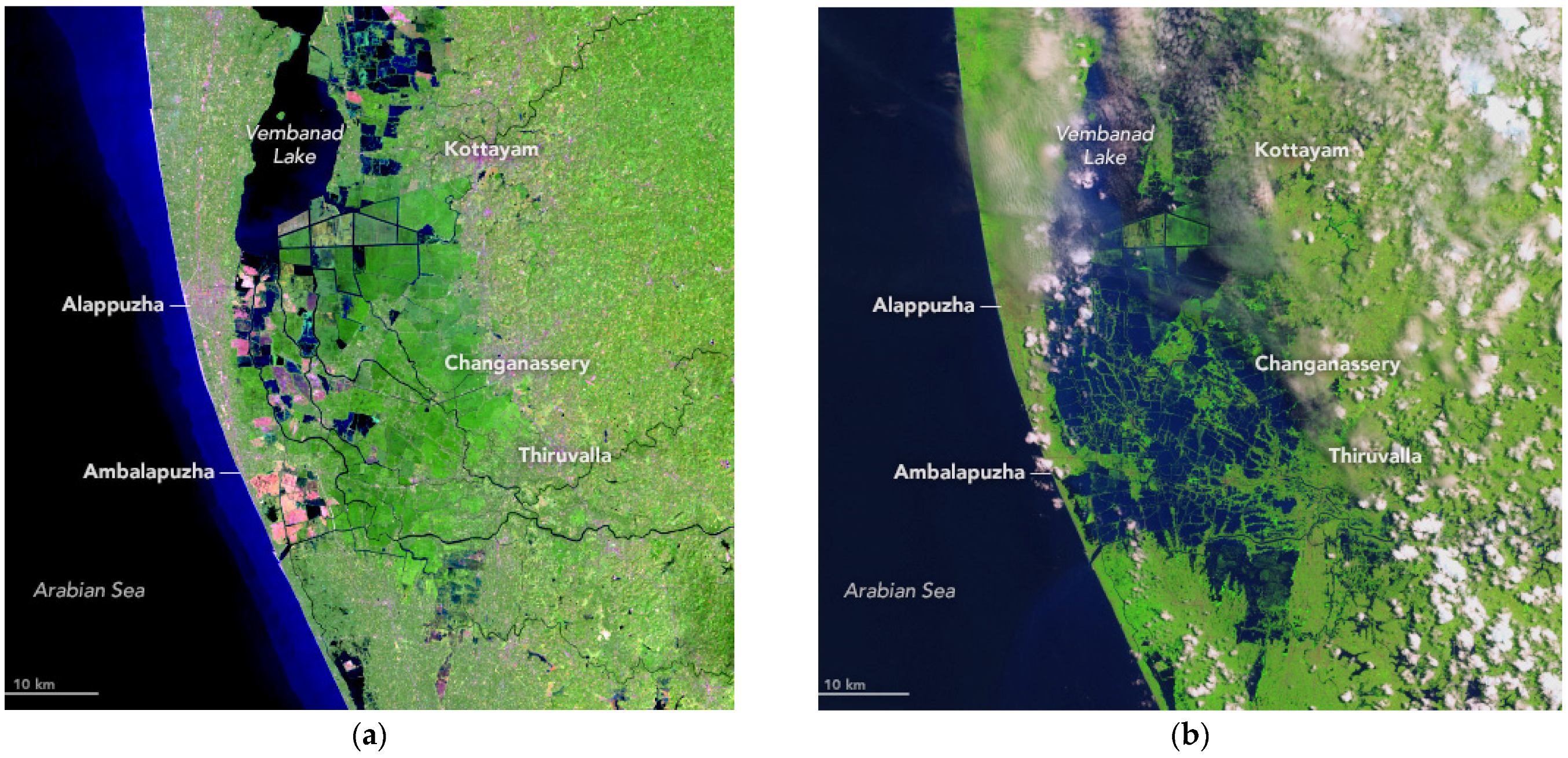 Sustainability 16 05142 g010