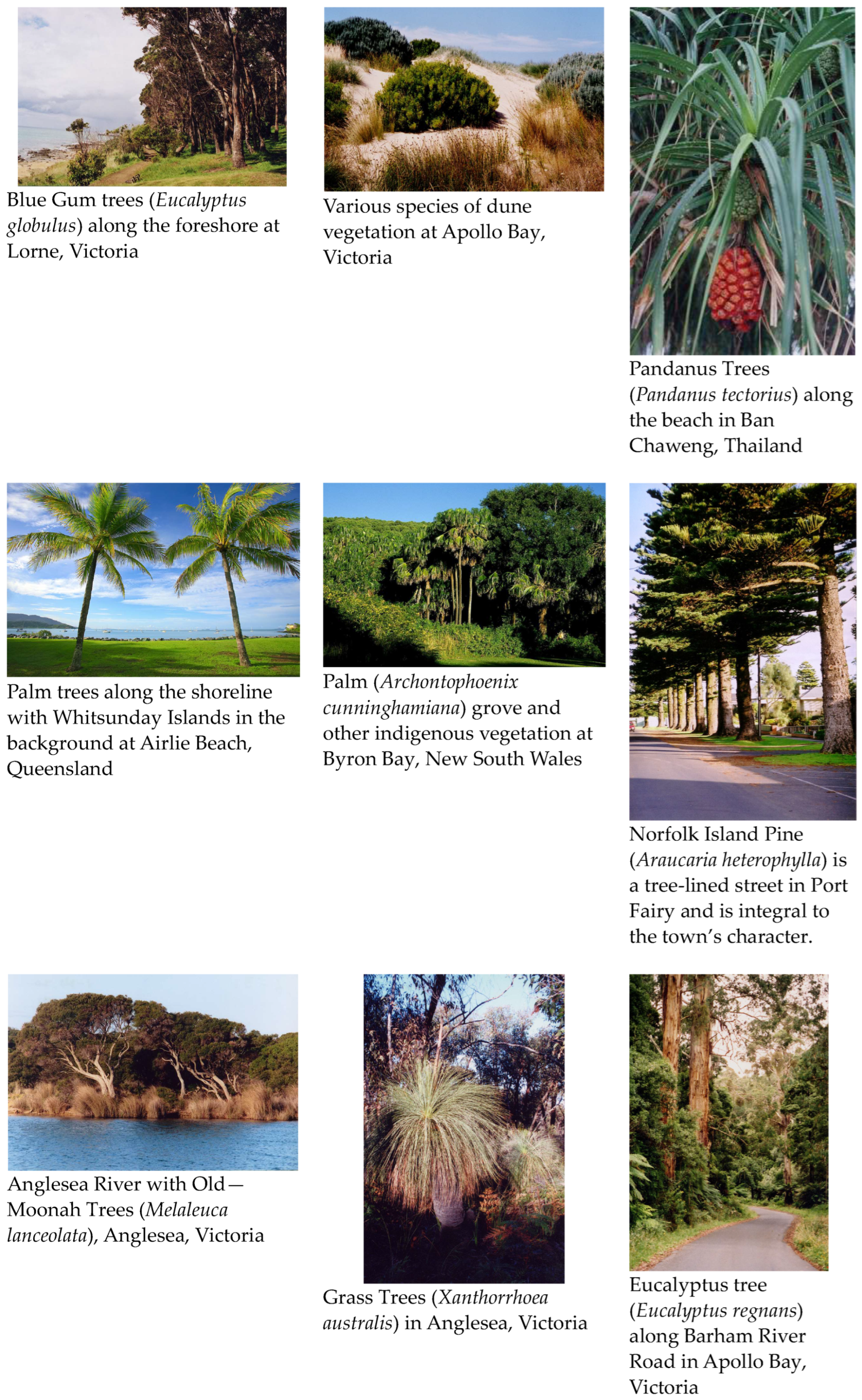 Sustainability 16 05204 g005