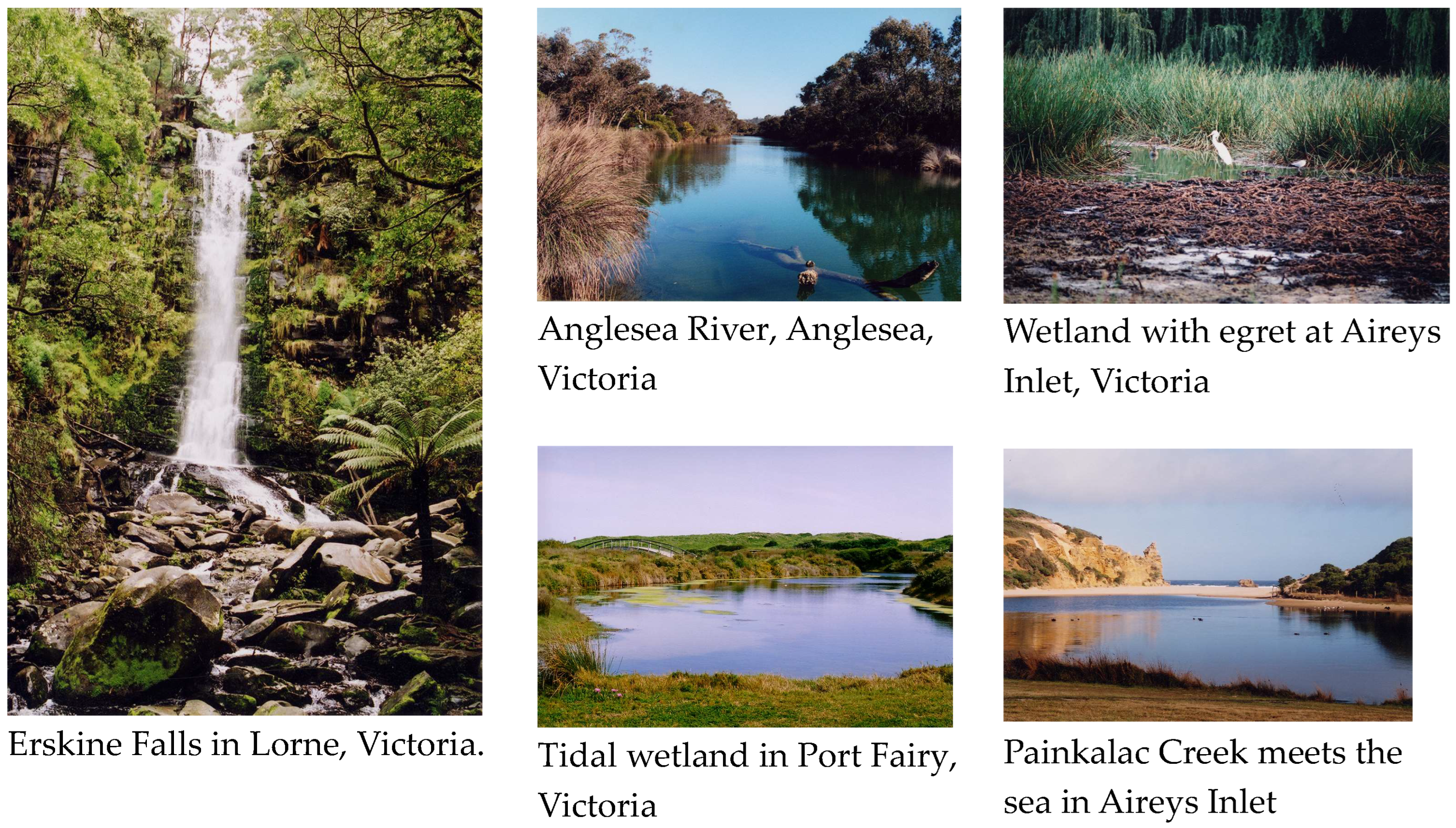 Sustainability 16 05204 g007