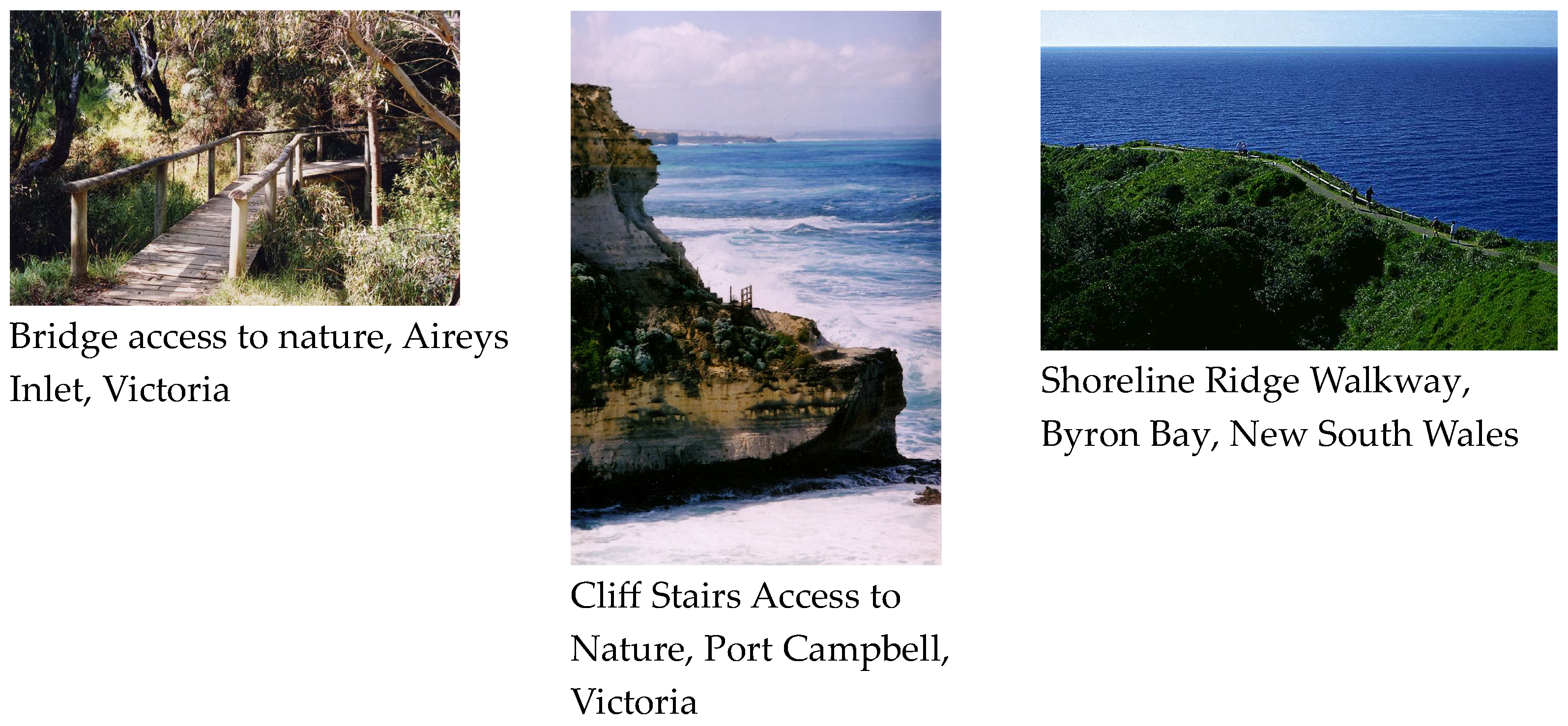 Sustainability 16 05204 g008