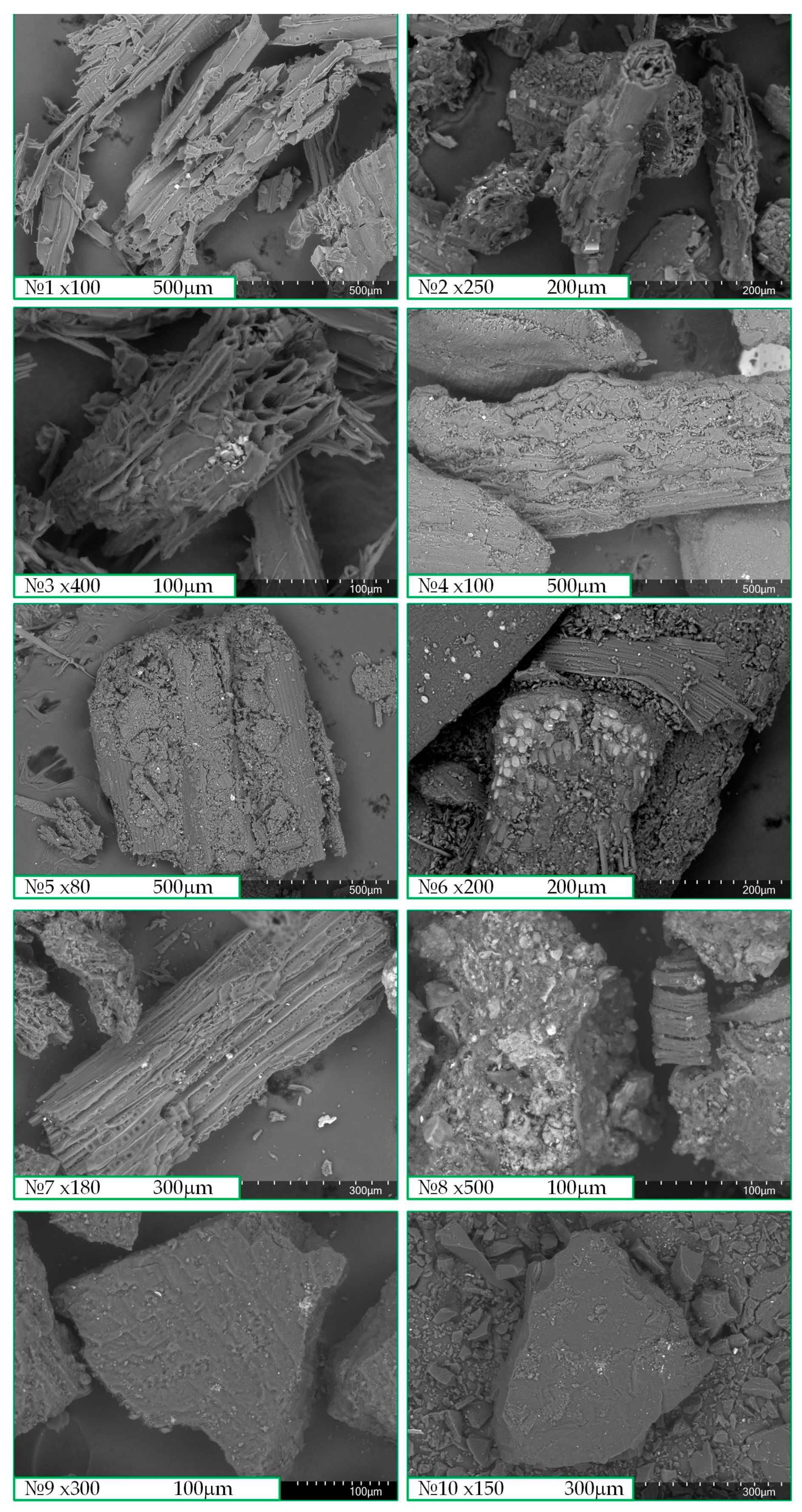 Sustainability 16 05227 g003