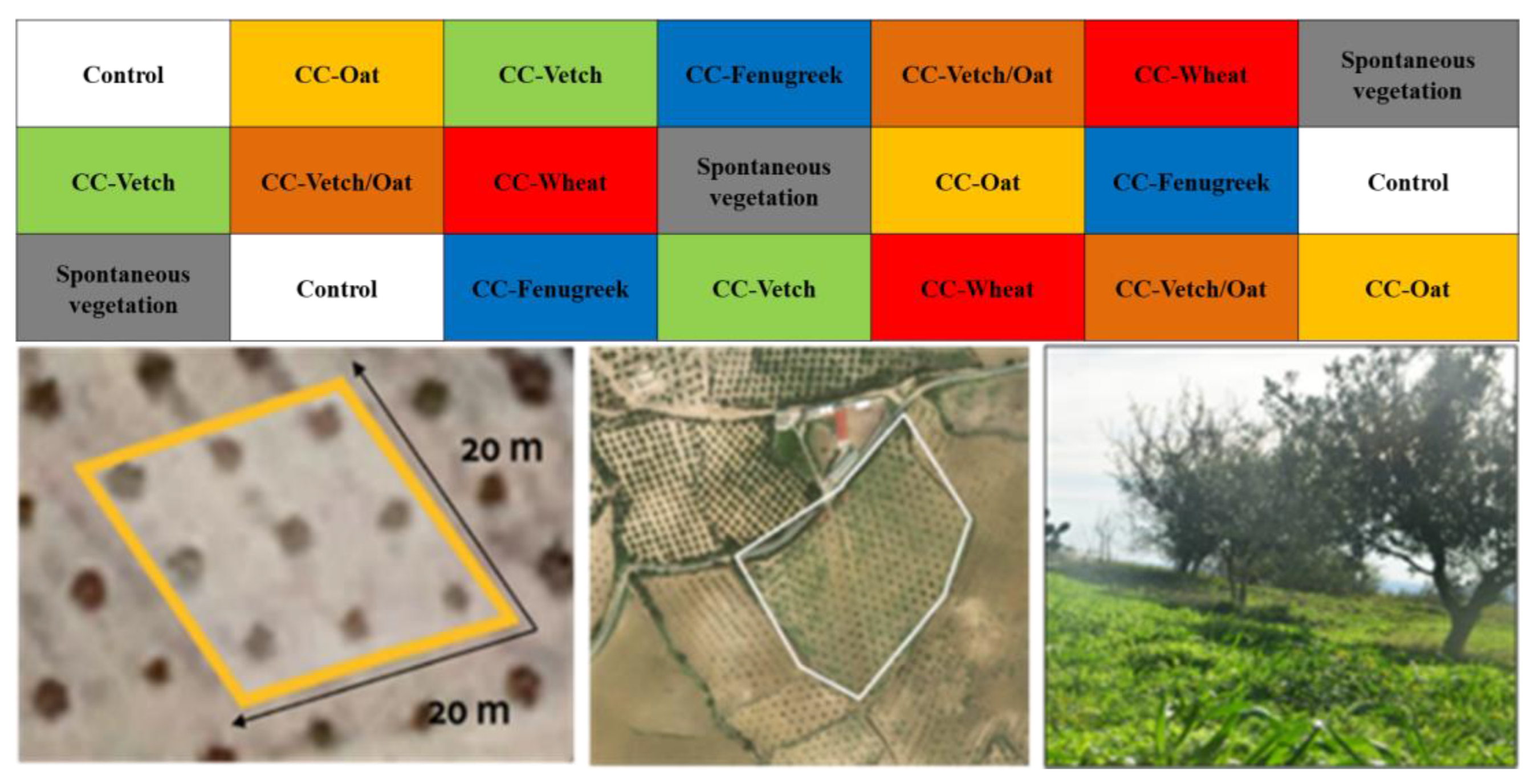 Sustainability 16 05329 g002