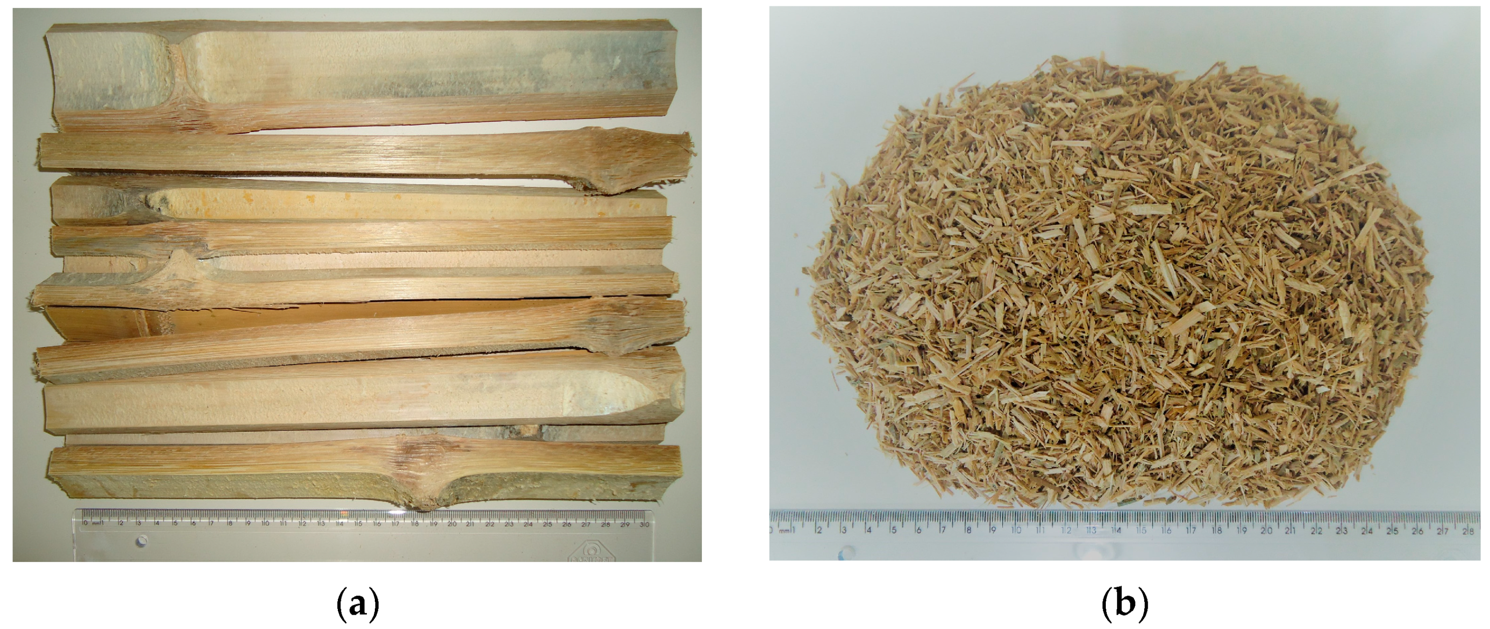 Sustainability 16 05334 g001