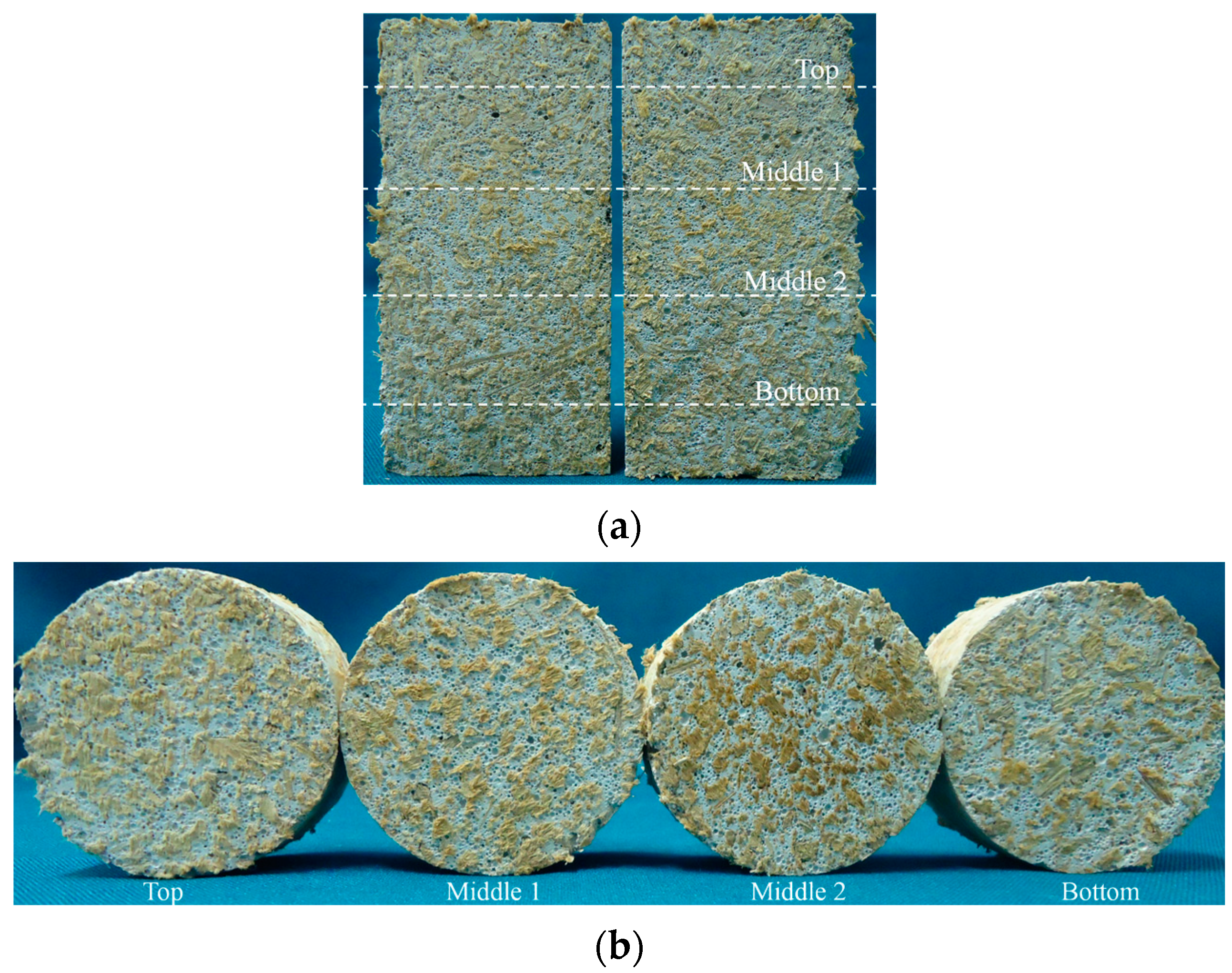 Sustainability 16 05334 g004