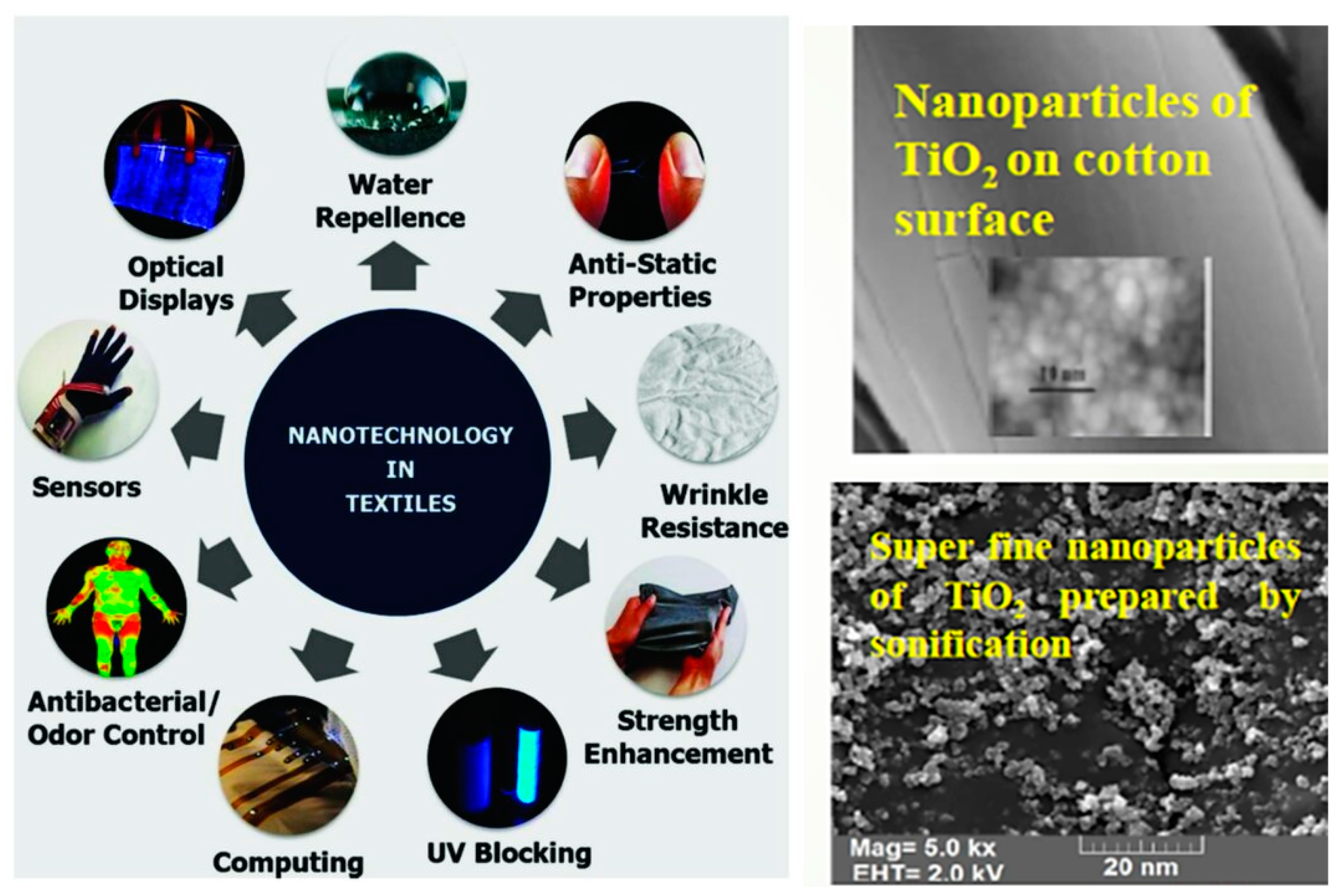 Sustainability 16 05344 g004