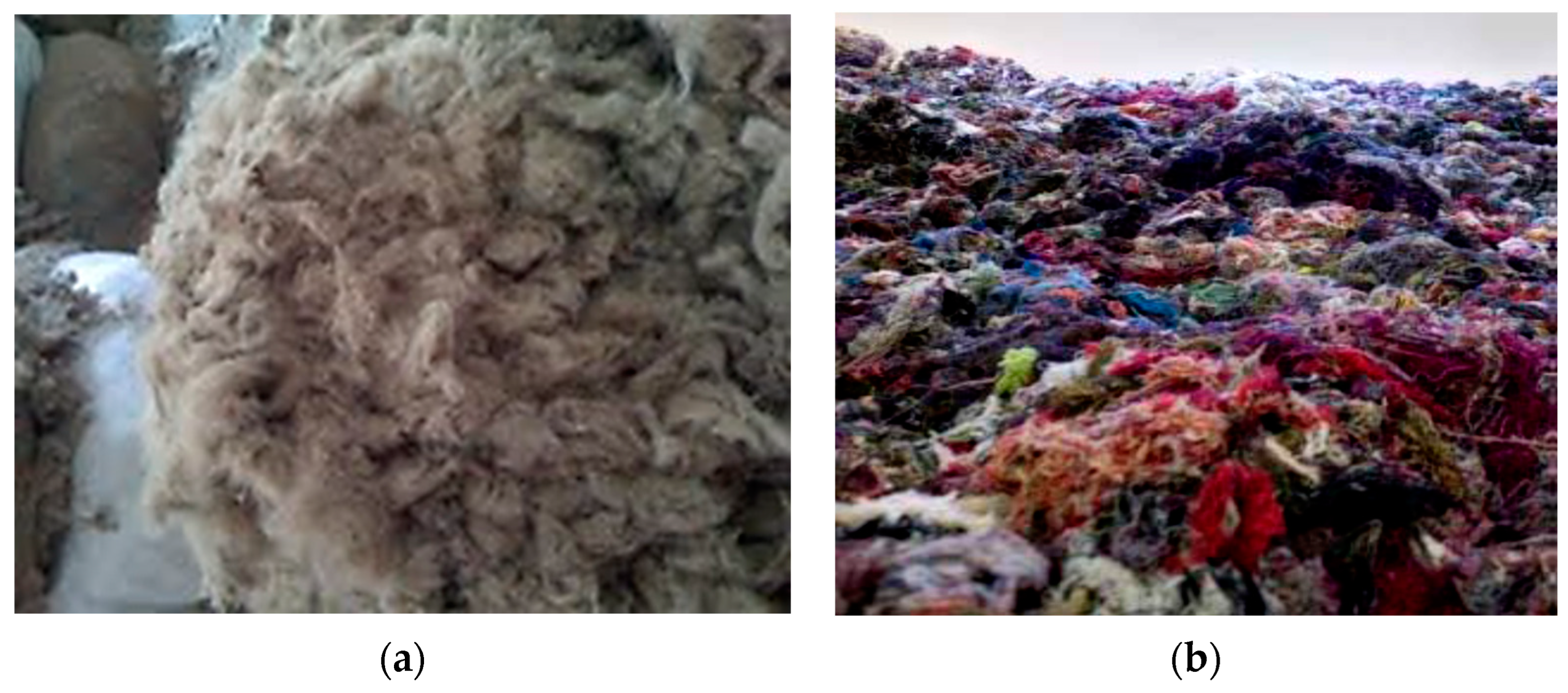 Sustainability 16 05344 g006