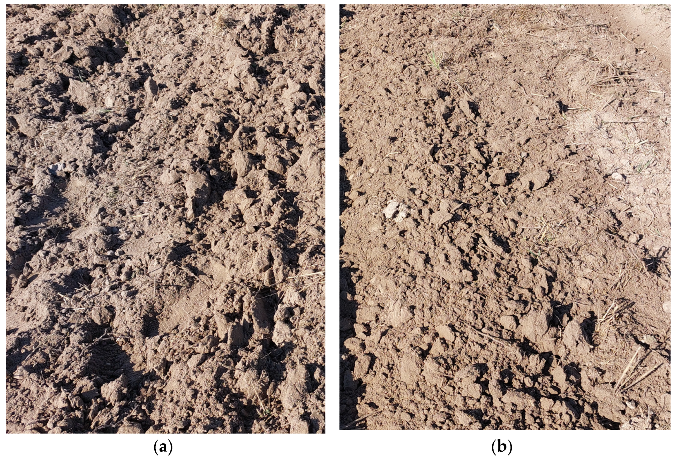 Sustainability 16 05355 g008