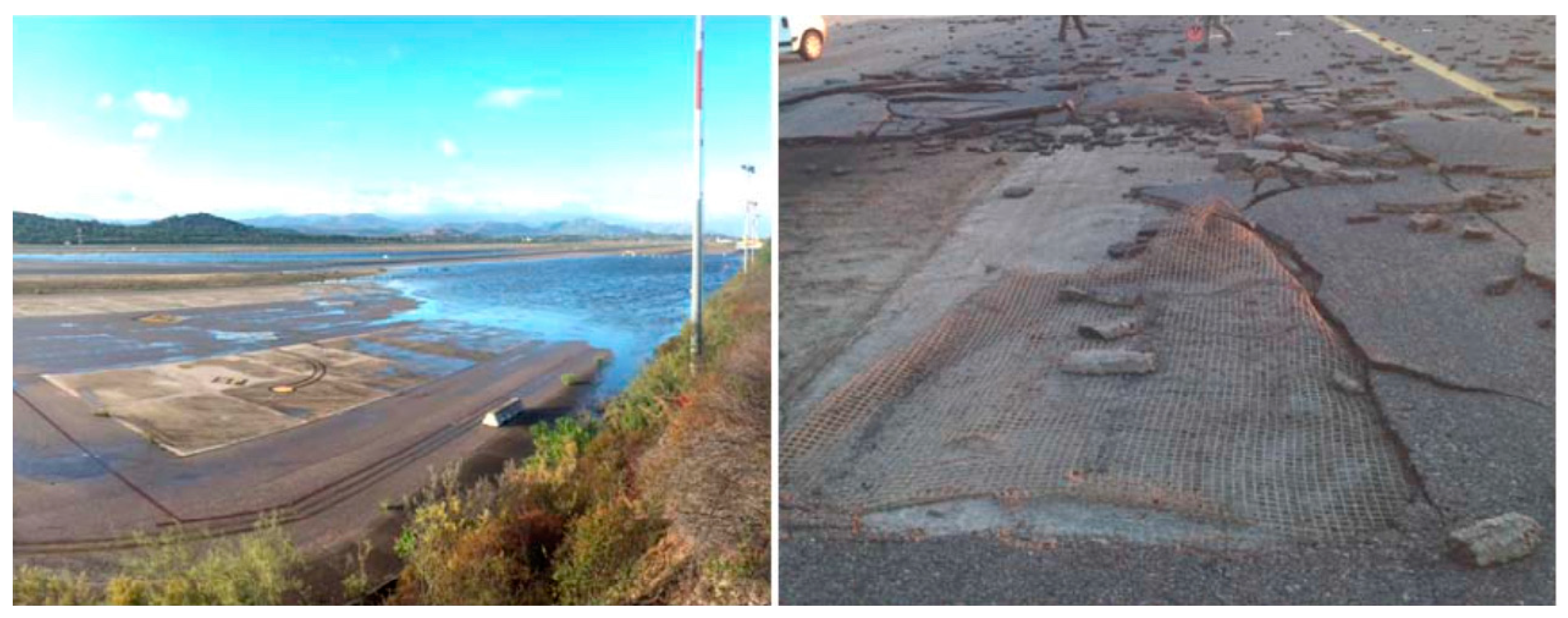 Sustainability 16 05359 g006