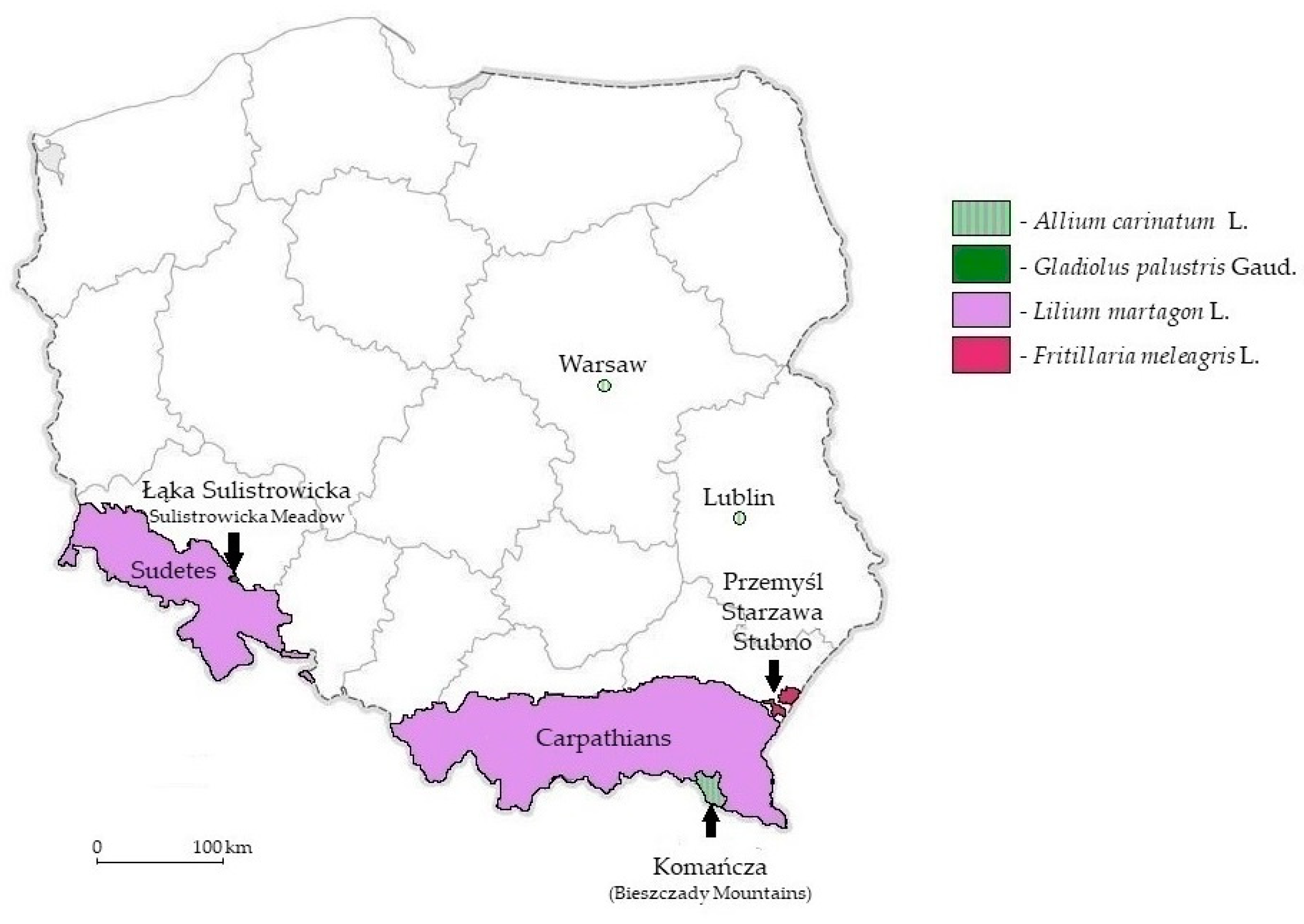 Sustainability 16 05375 g001