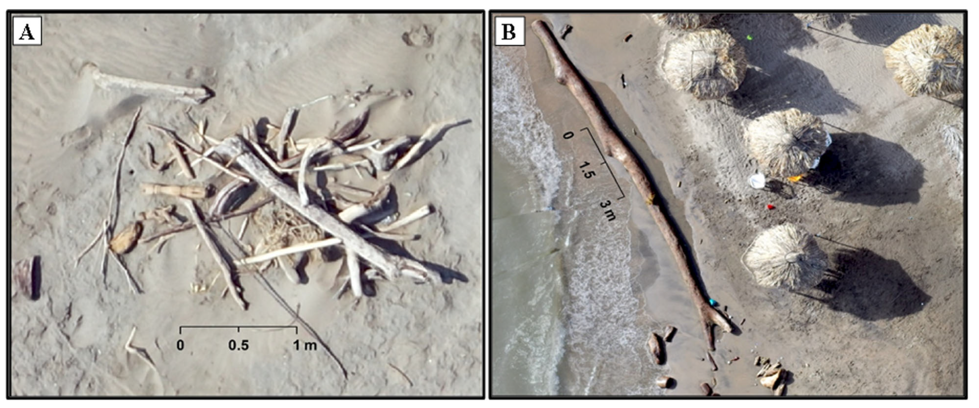 Sustainability 16 05399 g003