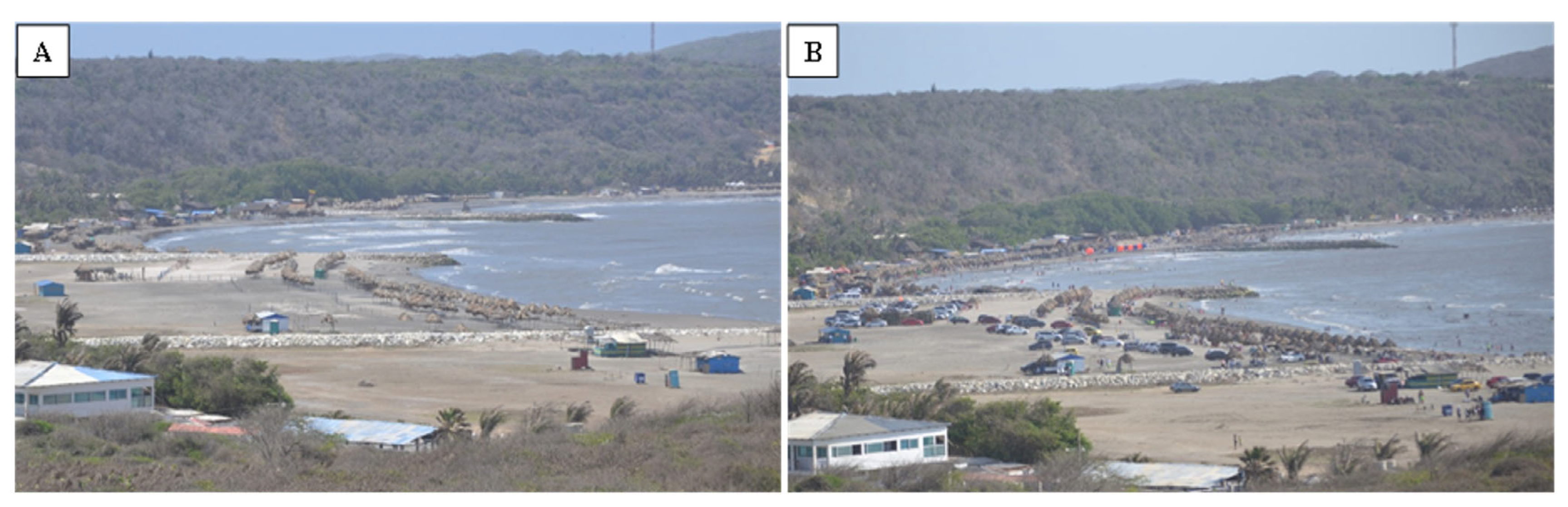 Sustainability 16 05399 g008